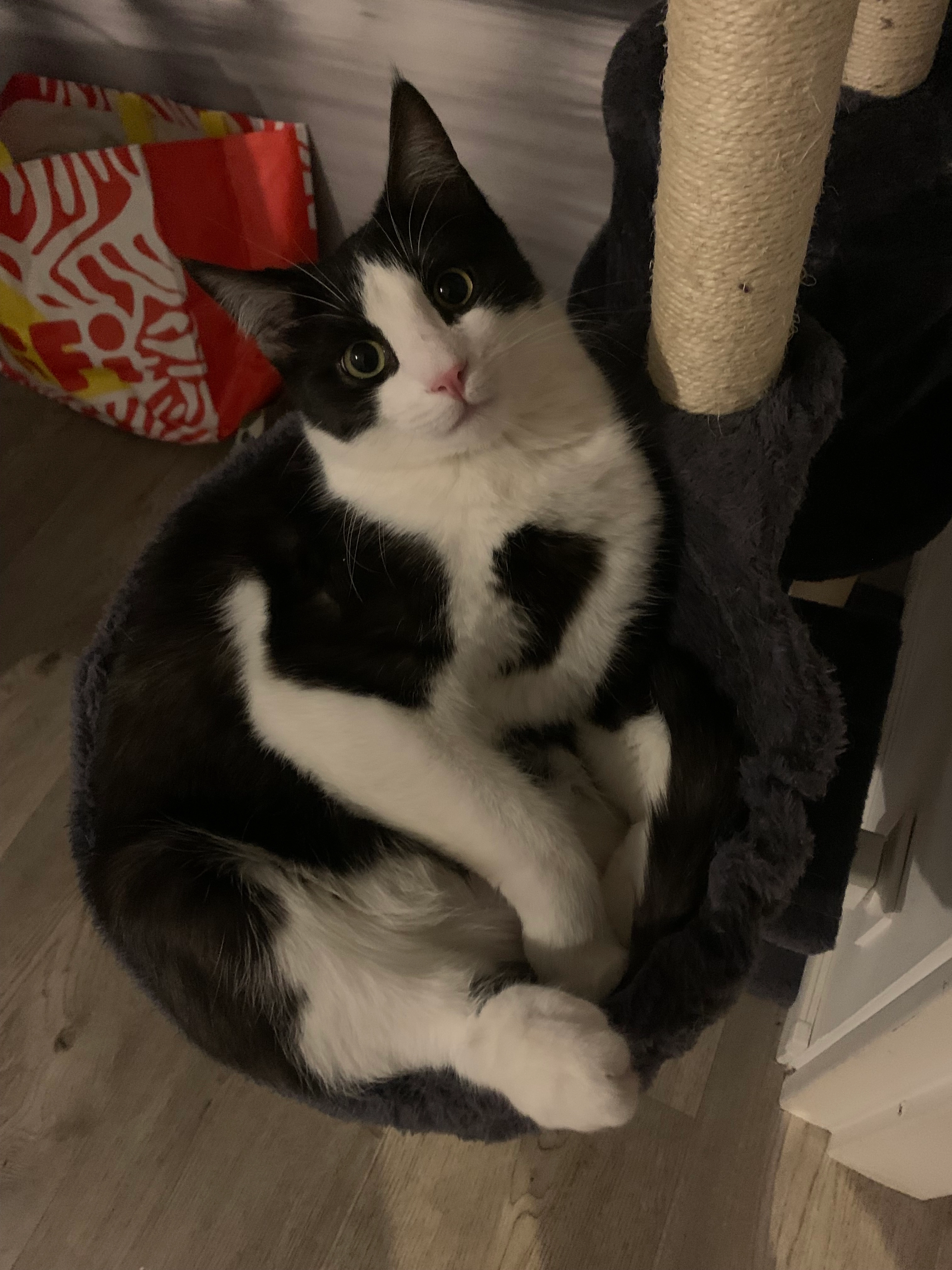 Davy - Rue De La Grande Montagne, Nogent-l'Artaud