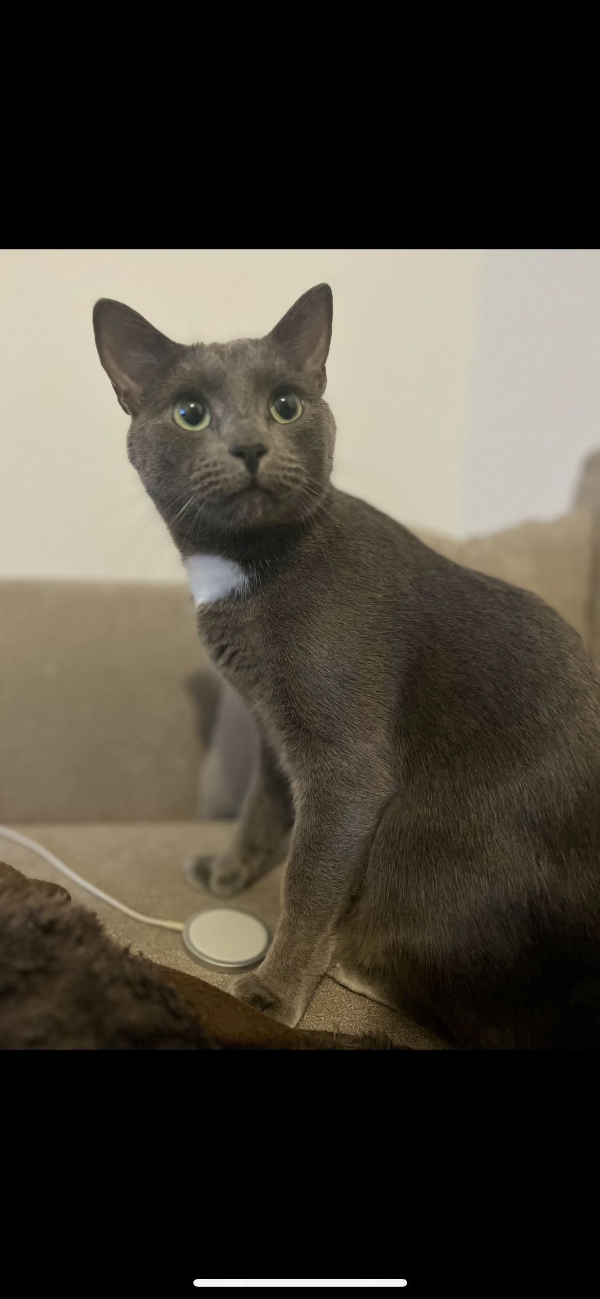 Rio - Rue Gabriel Lippmann, Bezannes