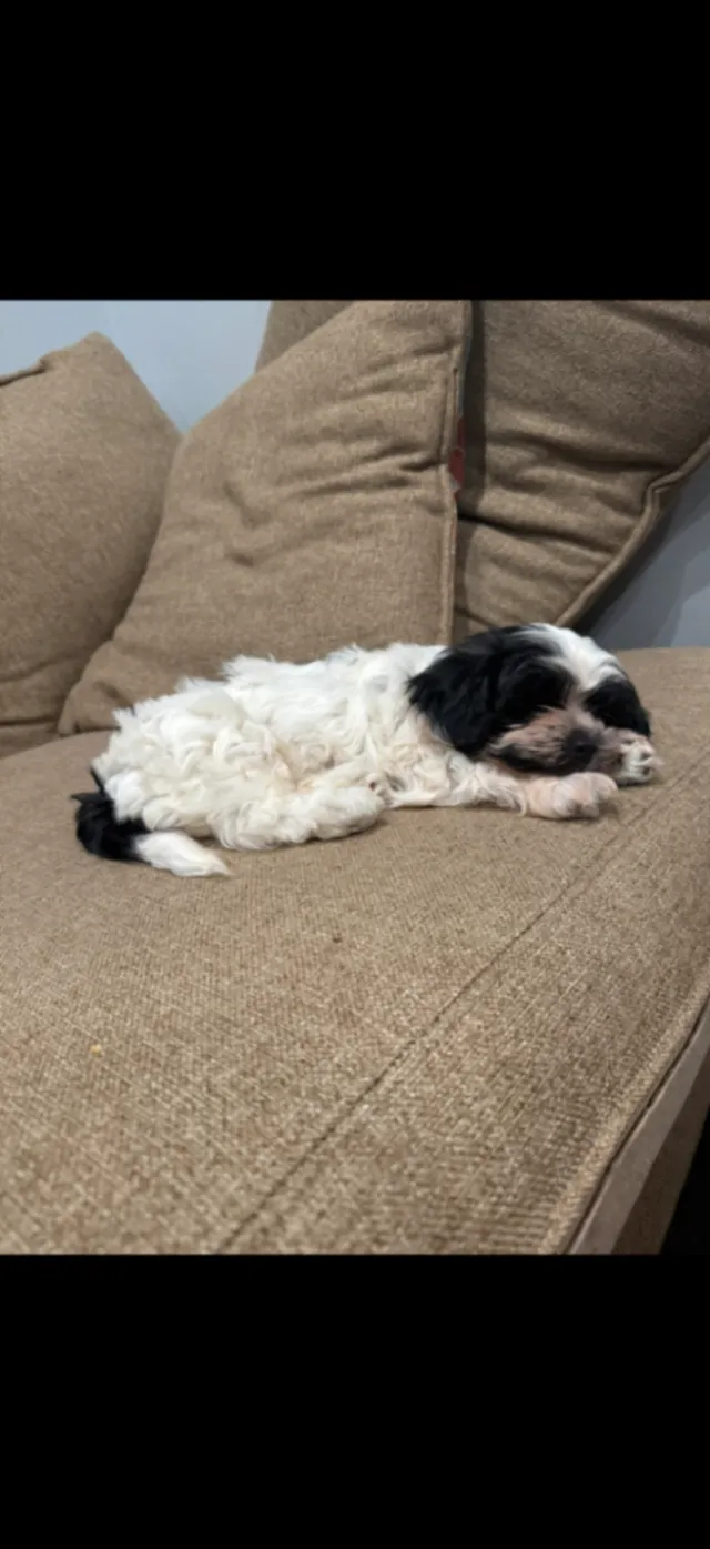 Tobby - Cloverdale St, High Point