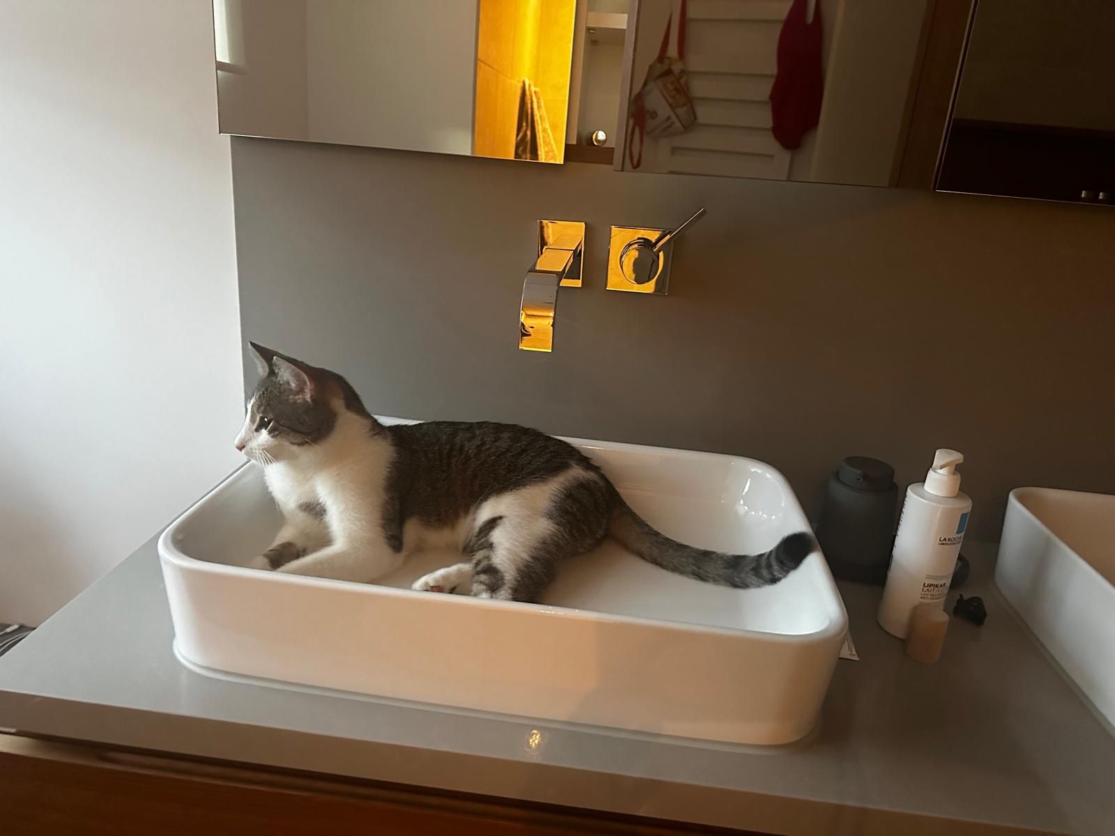 Sammy - Münsterstraße, Rheine