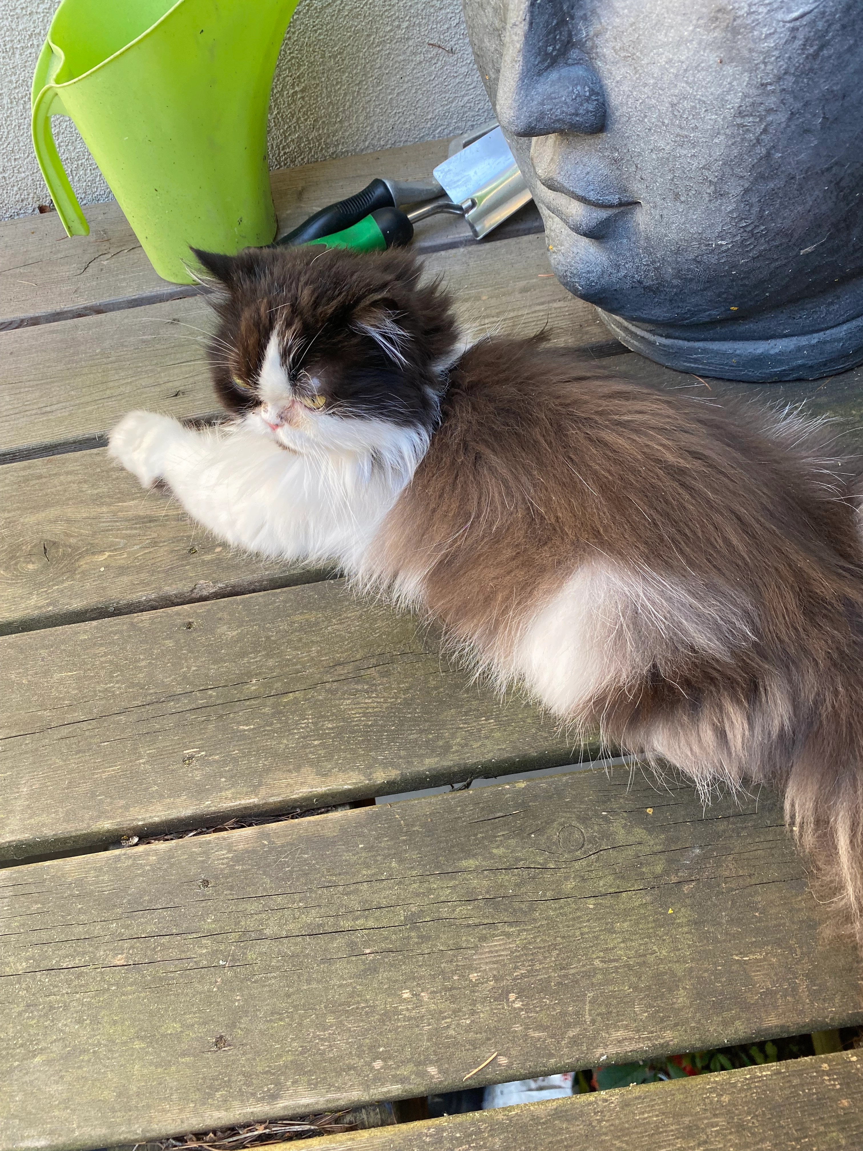 Bibi - Rue du Freiberg, Bernardswiller