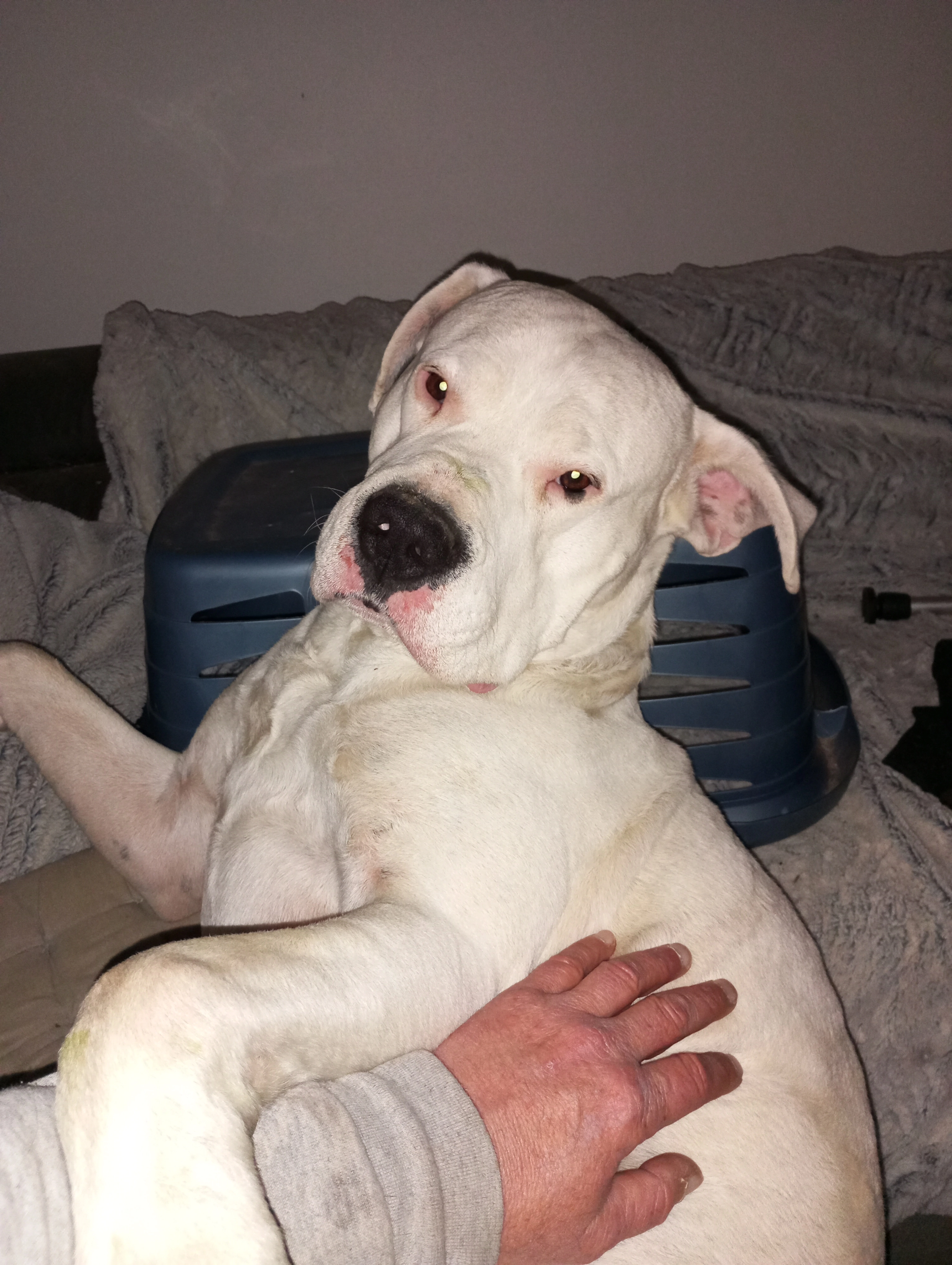 Tyson  - Rue Du Lavoir, Aubepierre-Ozouer-le-Repos