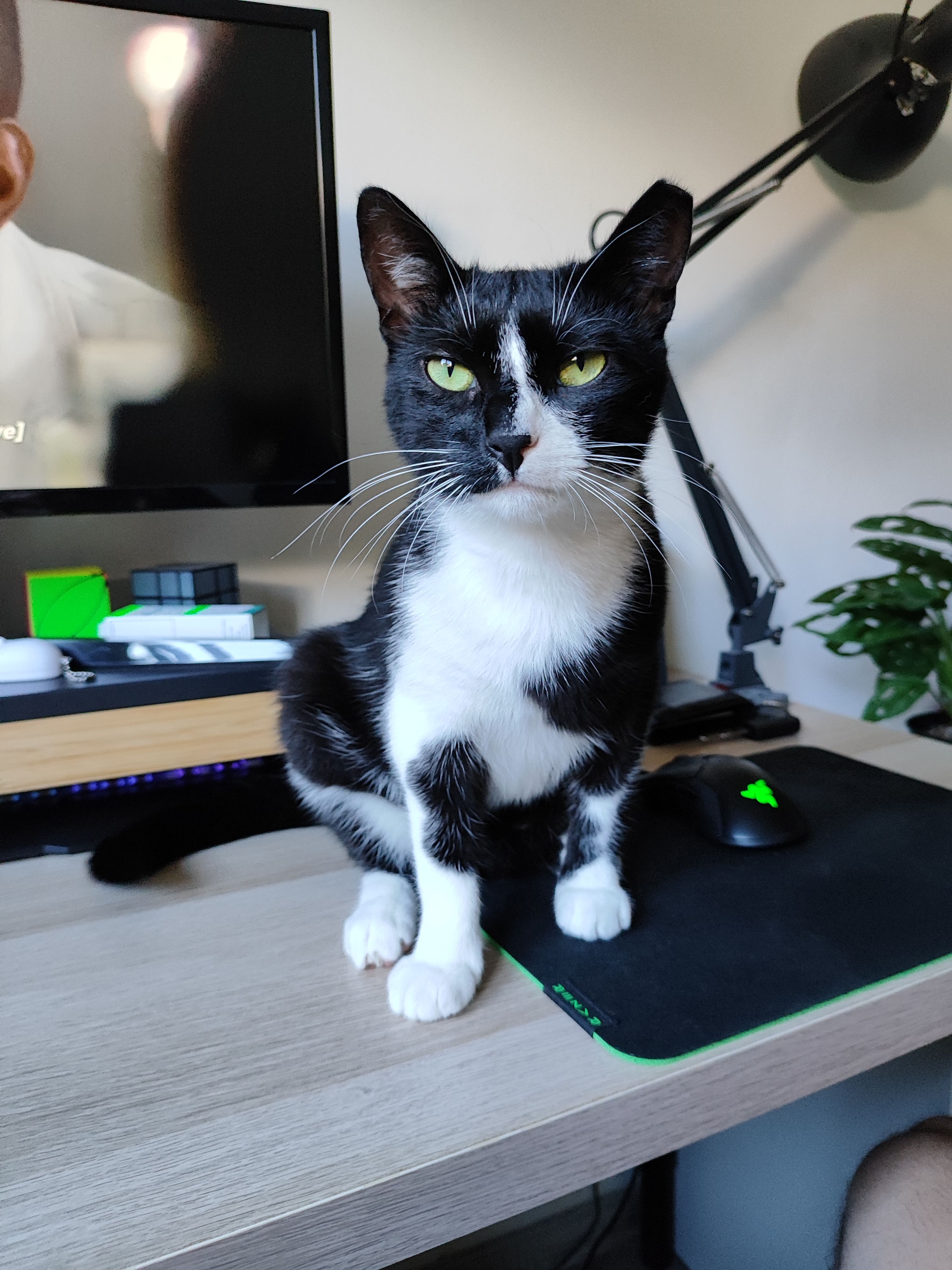 yuki - Svetosavska ulica 22, Ljubljana