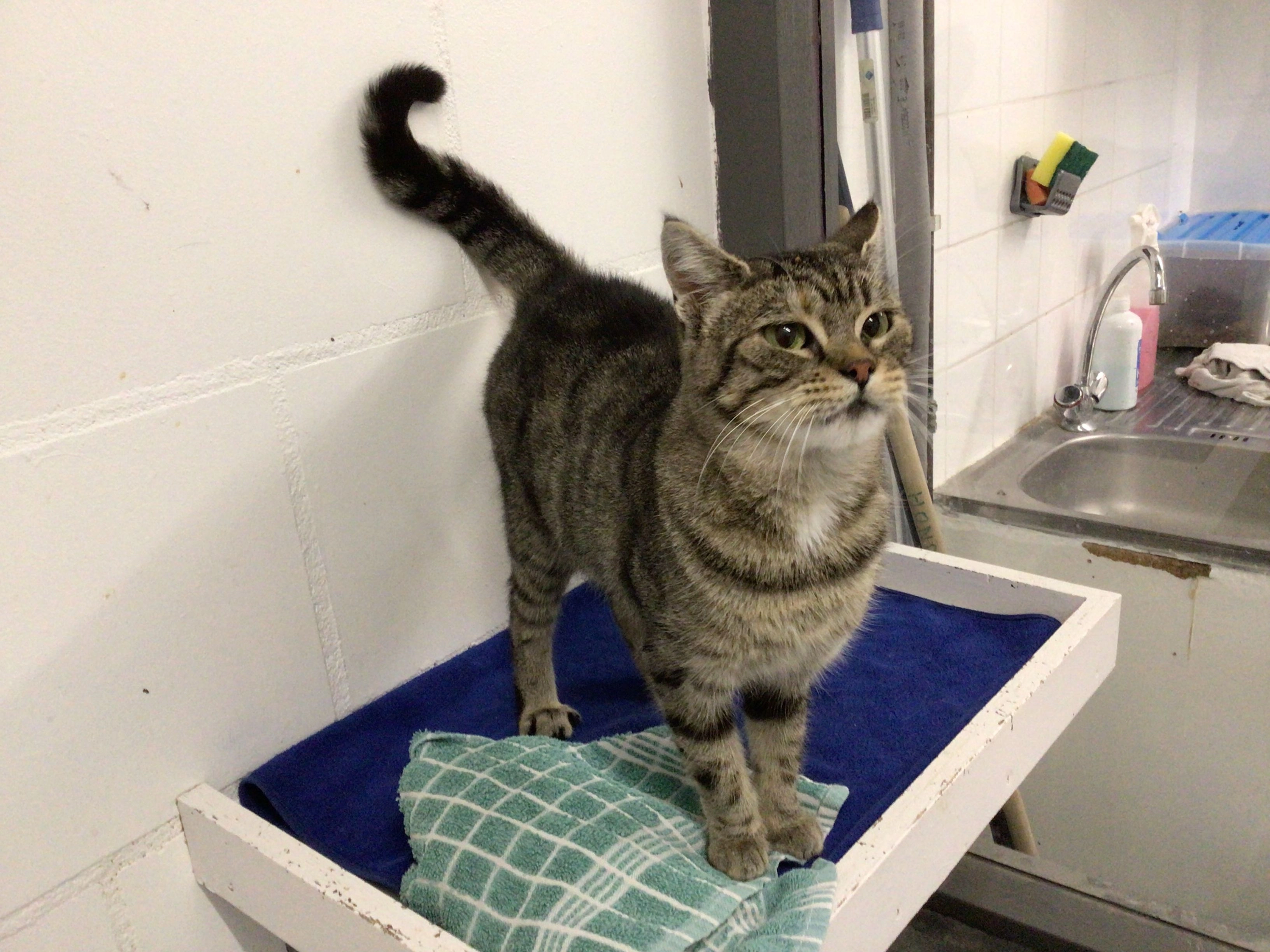 Zita - Bredeweg, Ottersum