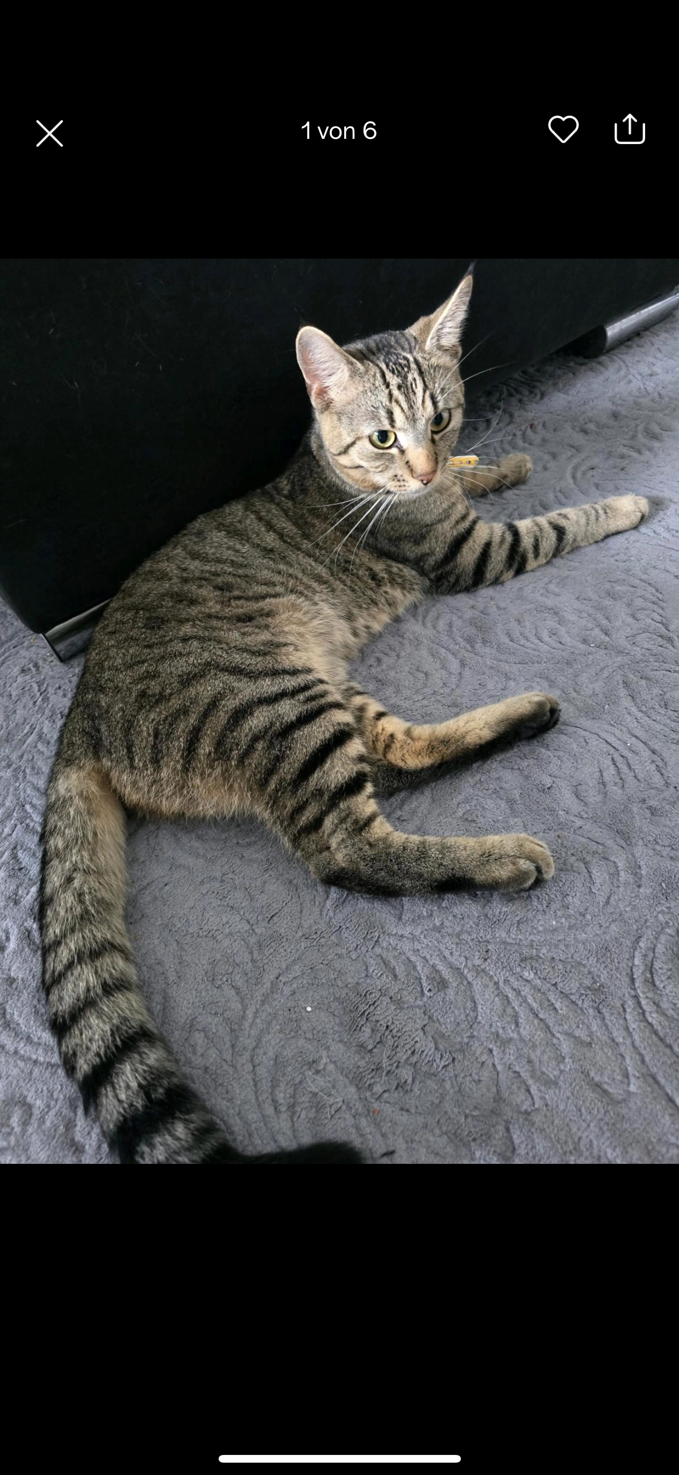 Knut - Niederender Straße, Ritterhude