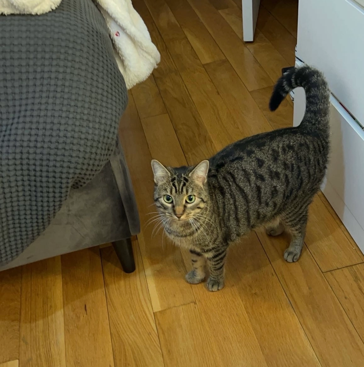 Fidji - Rue de Provence, Versailles