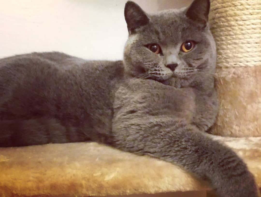 Joyce - Im Vilchen, Weilburg