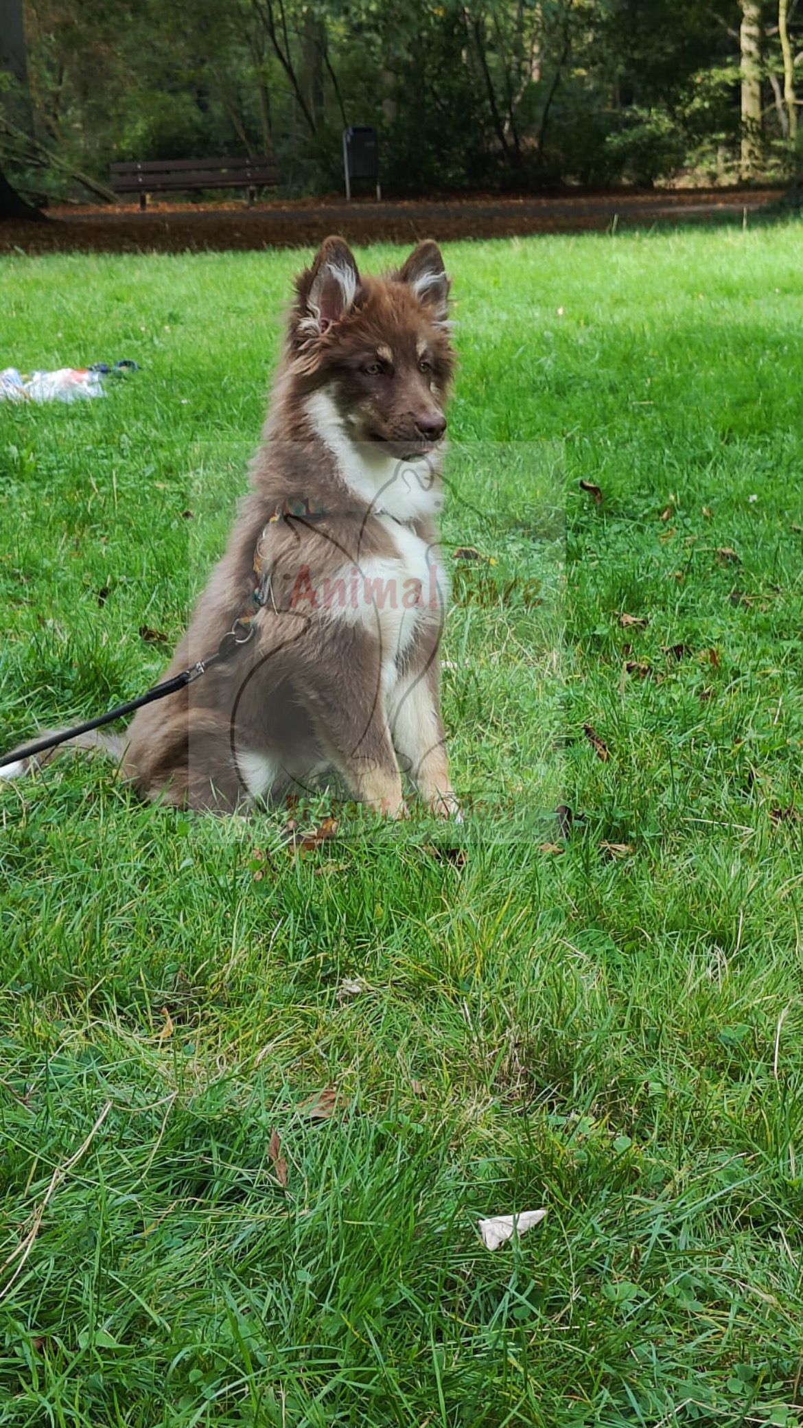 Ayra - Valkenswaardseweg, Aalst