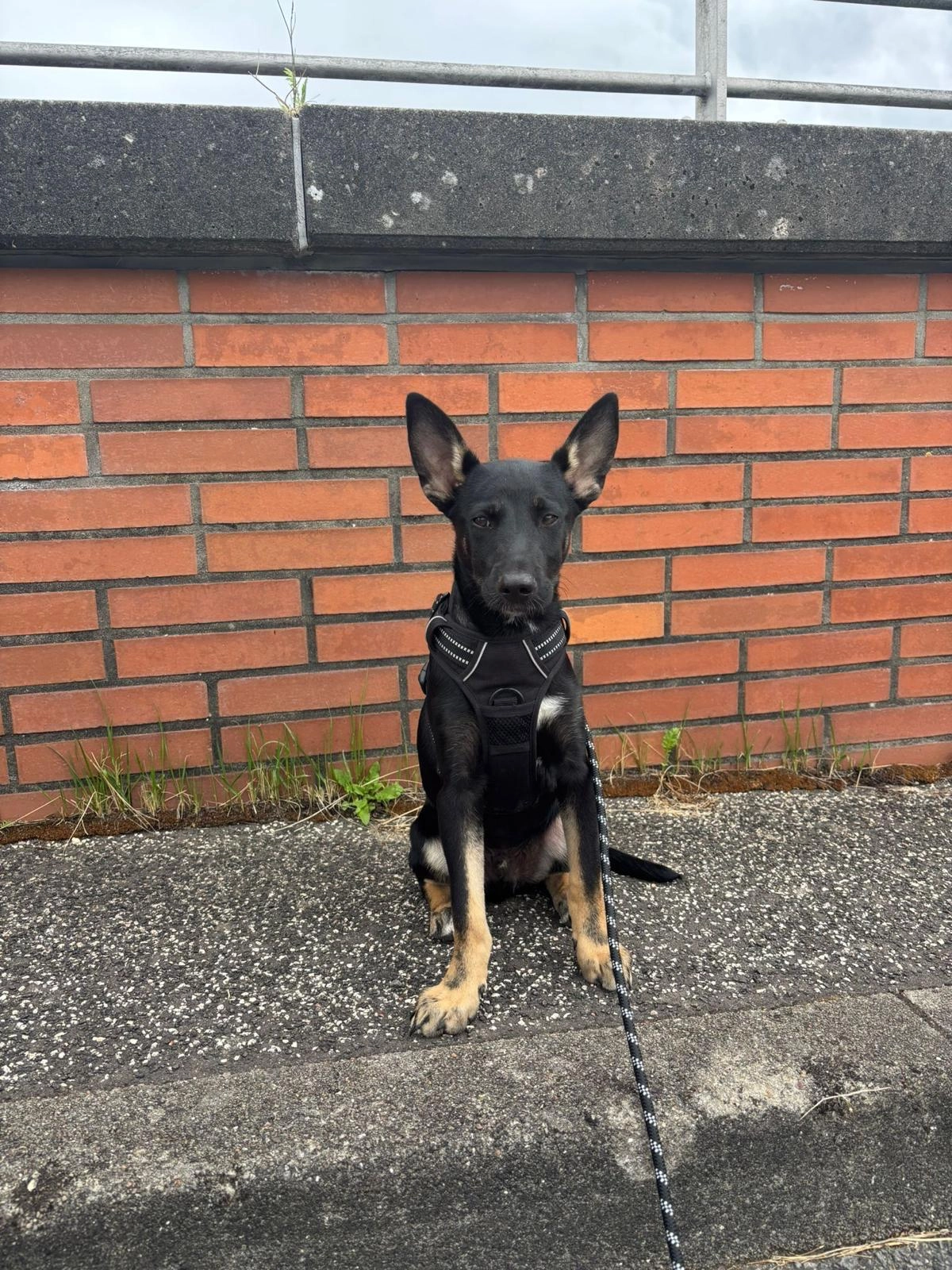 Cash - Ortelsburger Stieg 57, Hamburg