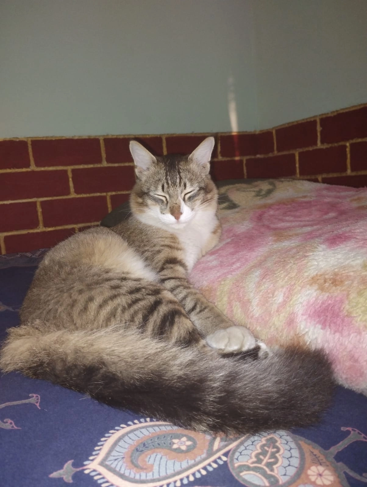 Mangu - Lal Danth Road, Haldwani