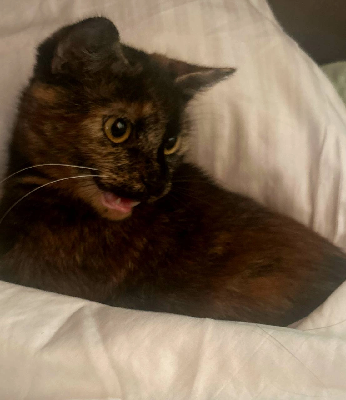 missa - Brookkehre, Hamburg