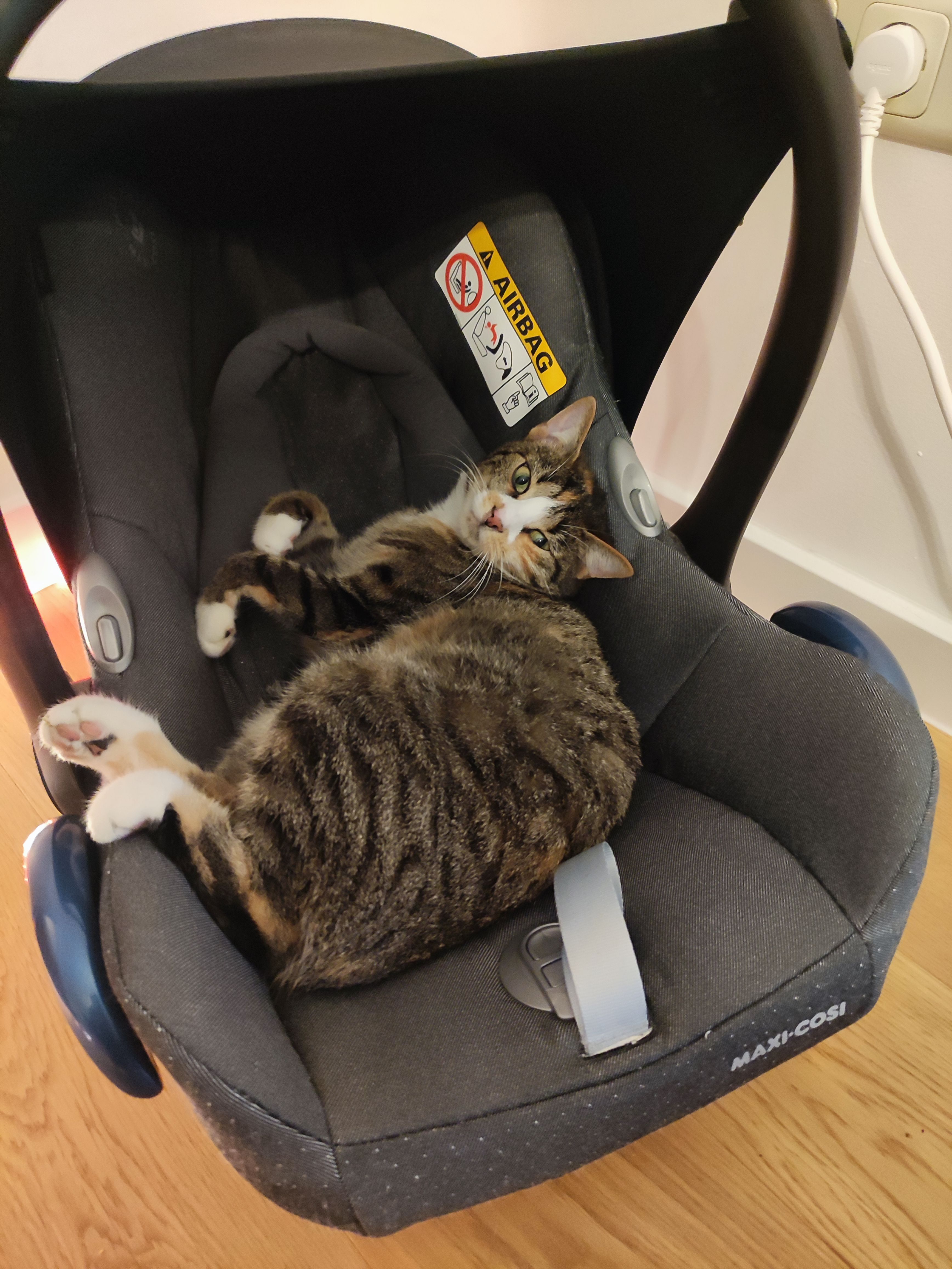 Mimi - Hans-Sachs-Straße, Schulzendorf