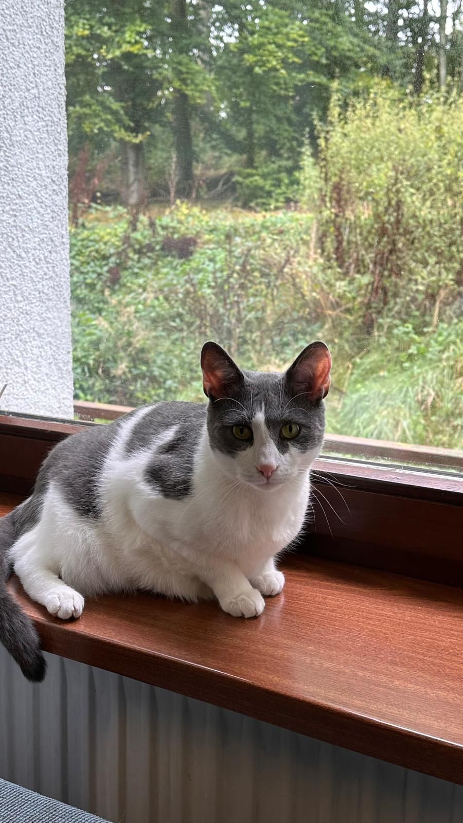 Mimi - Wilhelm-Dröscher-Straße, Birkenfeld