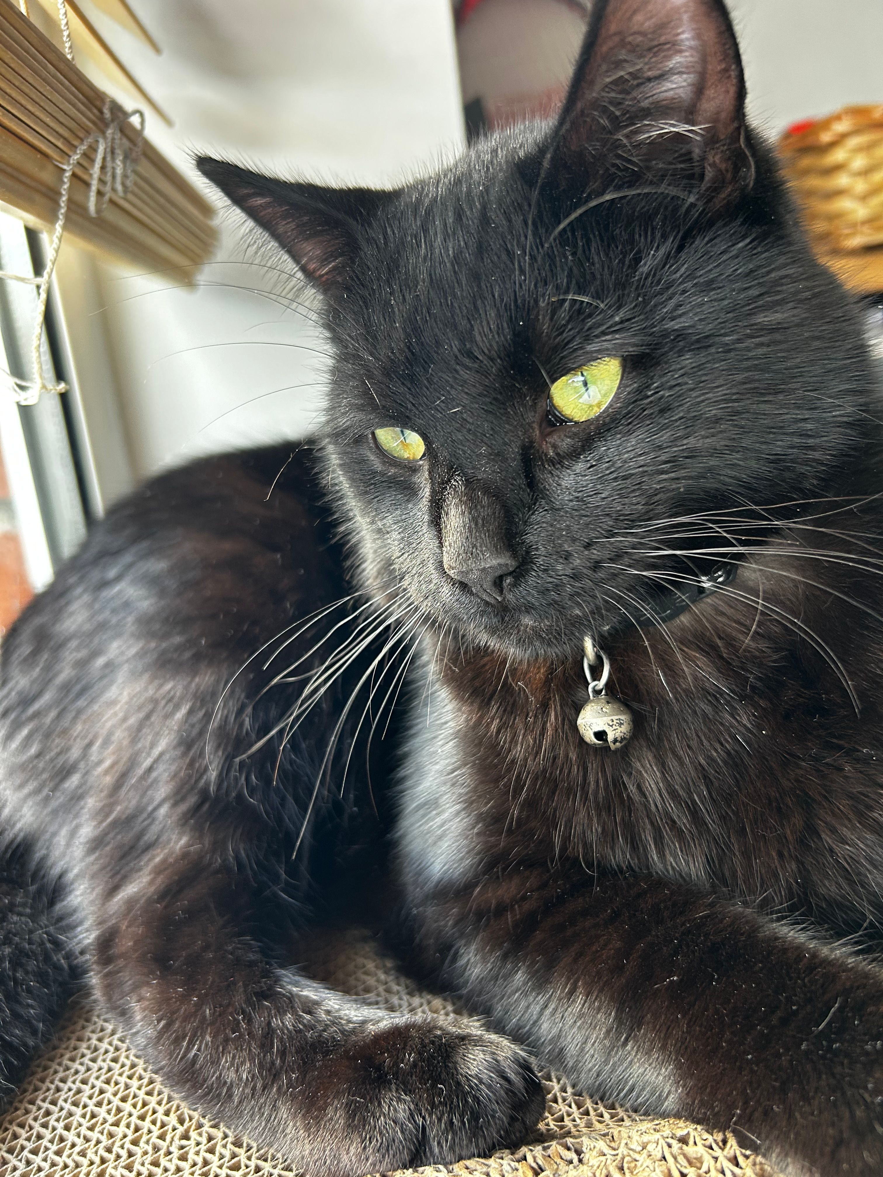 Batman - Warrenstown Place, Blanchardstown