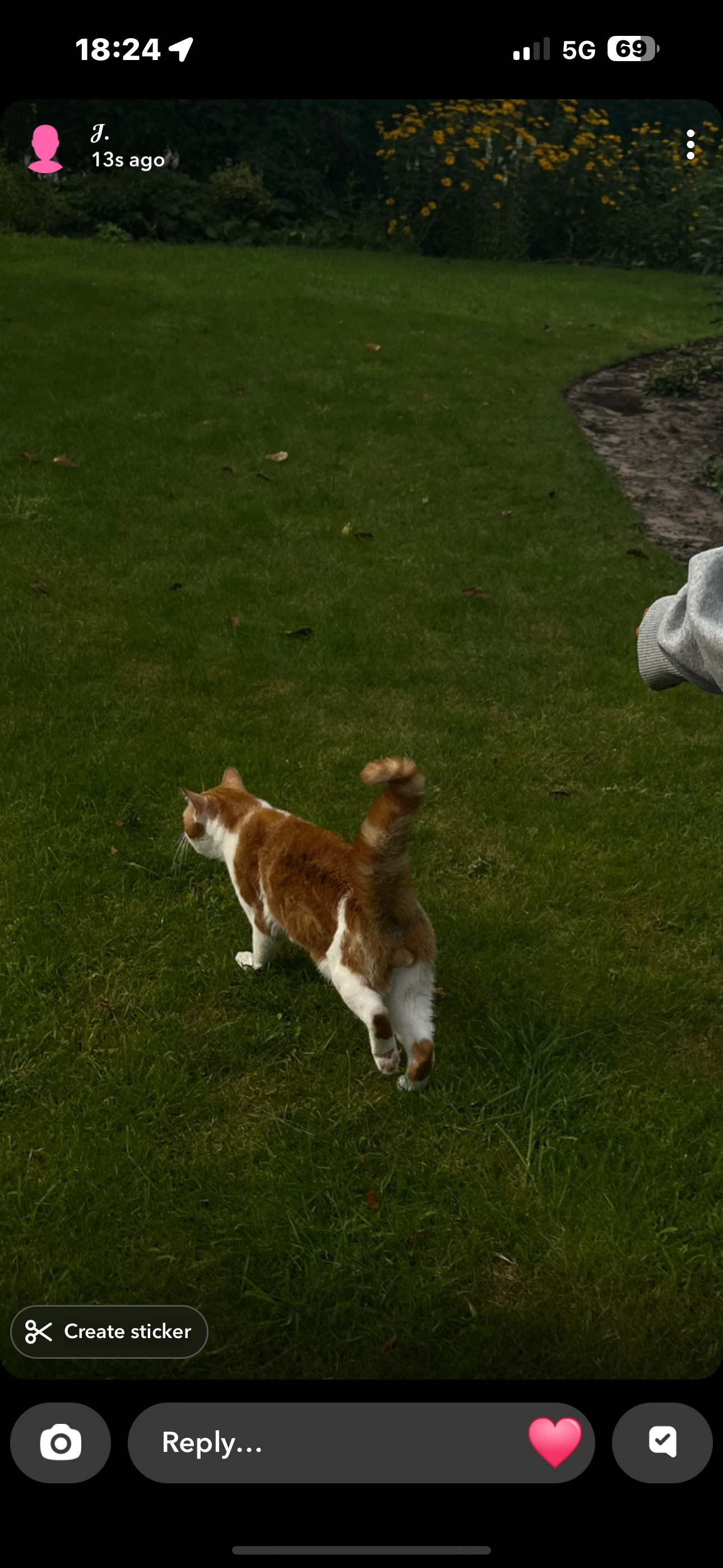 Aurora - Burgemeester Van Nispenstraat, Winterswijk