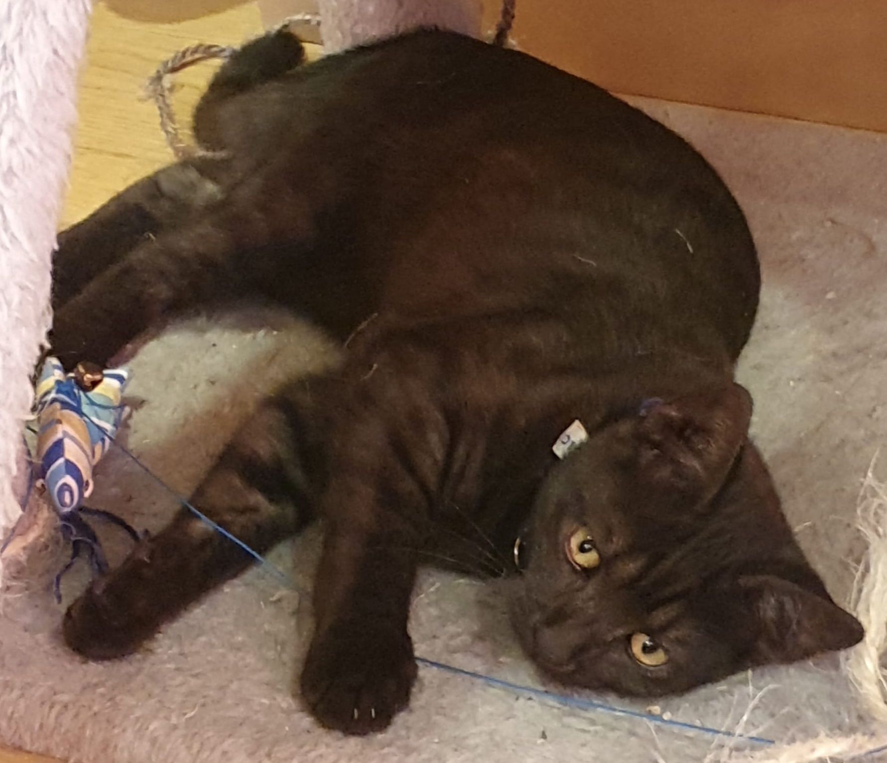 Willi - Klosterlausnitzer Straße, Kraftsdorf OT Oberndorf