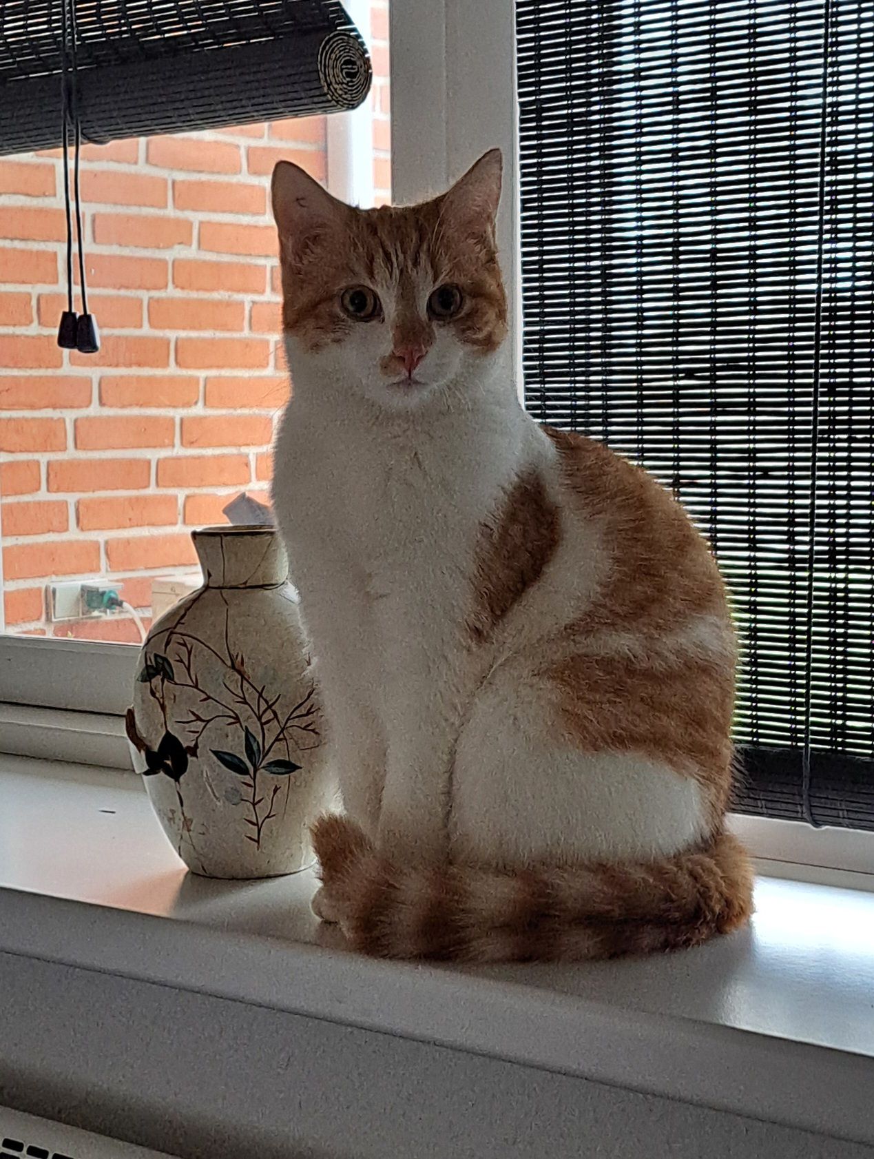 Penny  - Rougsøvej 155P, Ørsted