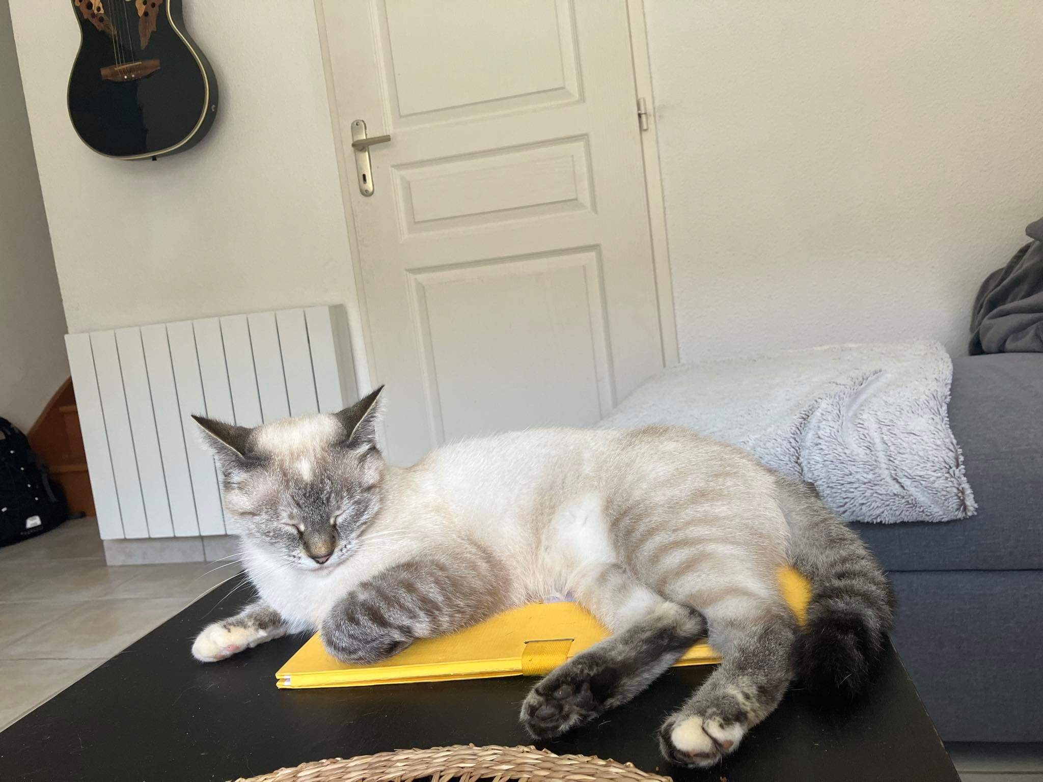 Ultia - 3 Rue de l'Église, Denguin