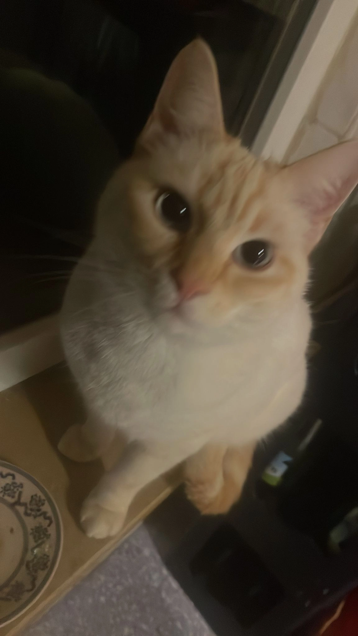 Pitu,  - Dorfstraße, Mayschoß