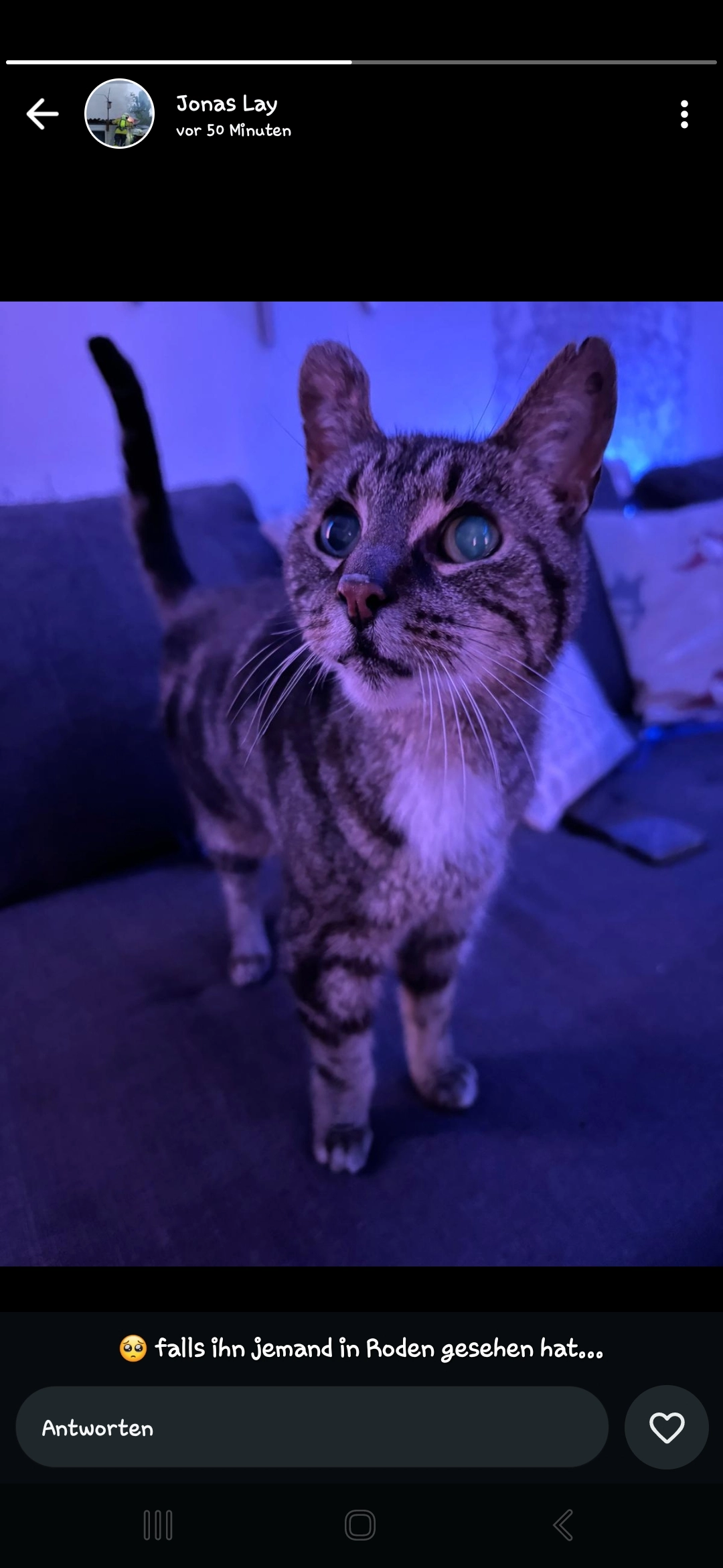 Mogli - Schaumbergstraße, Saarlouis