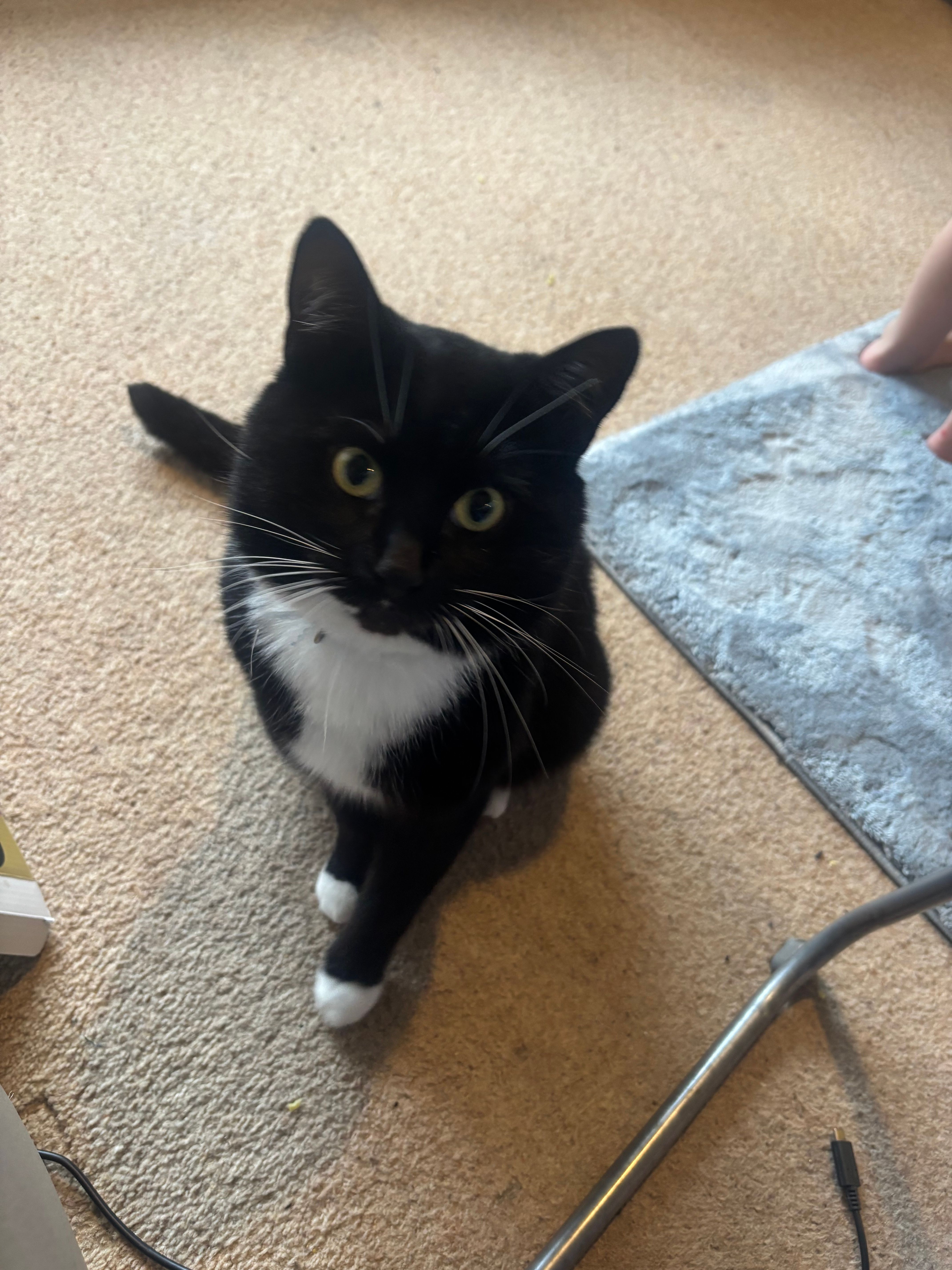 Tiki - Westfield, Bognor Regis