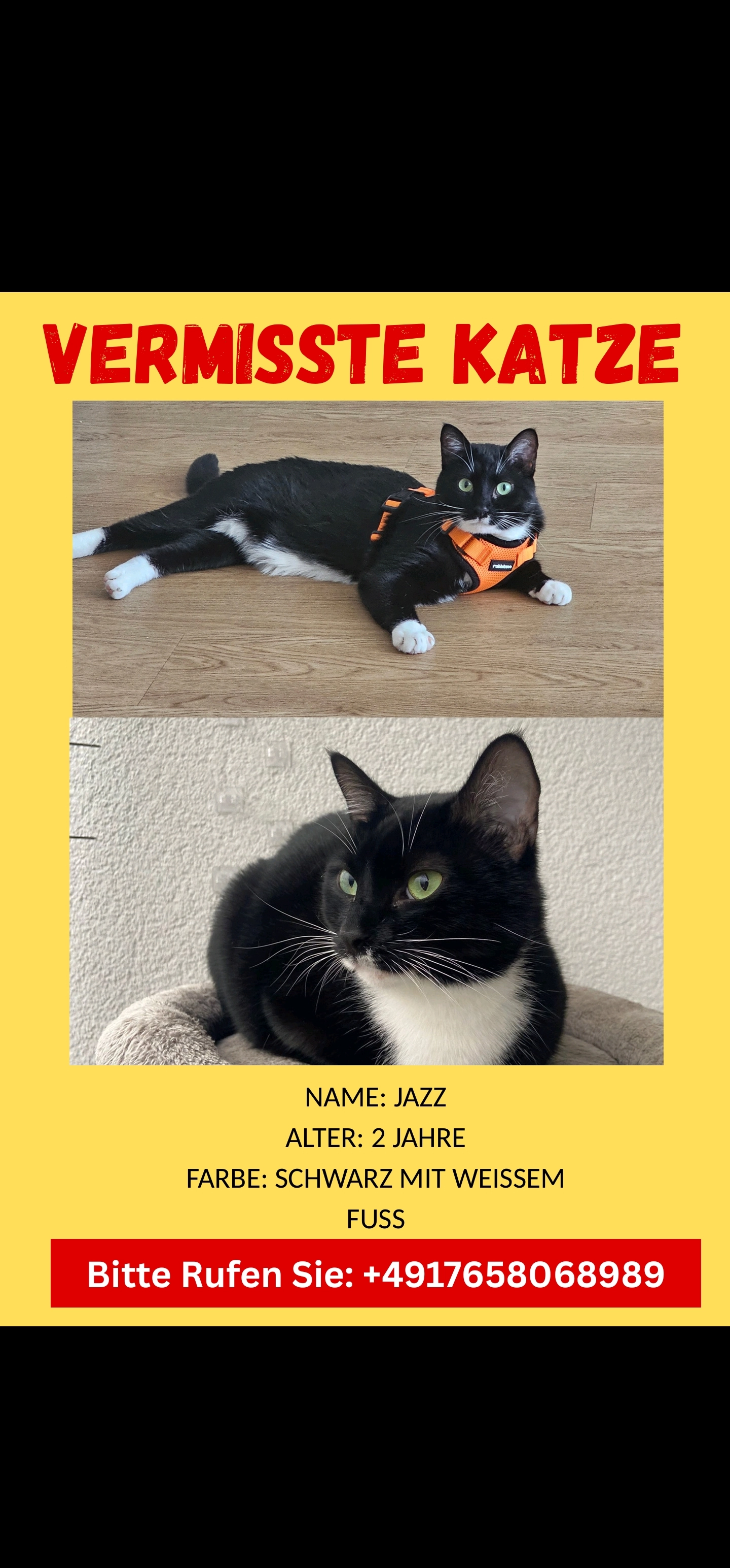 Jazz - Finsterwalder Straße 102, Berlin