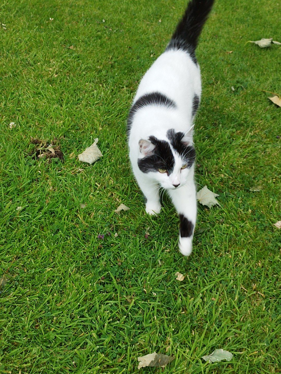 Rory - Park Crescent, Leeds