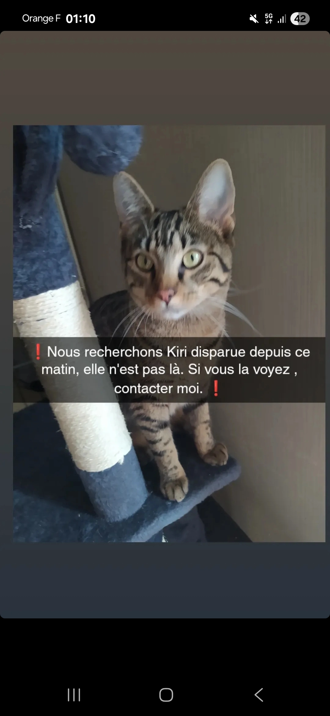 Kiri - 40 Rue François de Curel, Moyeuvre-Grande