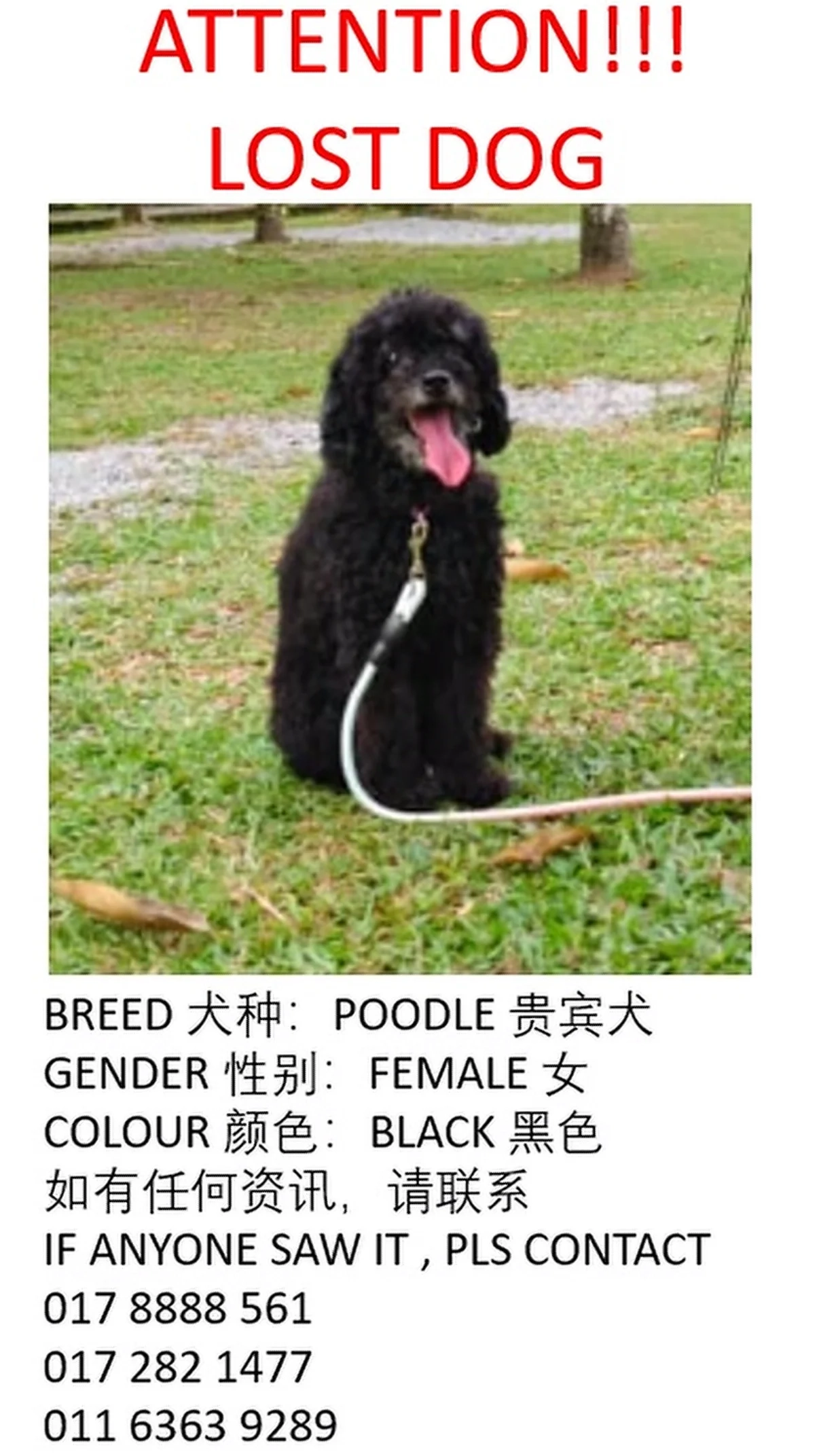 Happy - 68100, Batu Caves