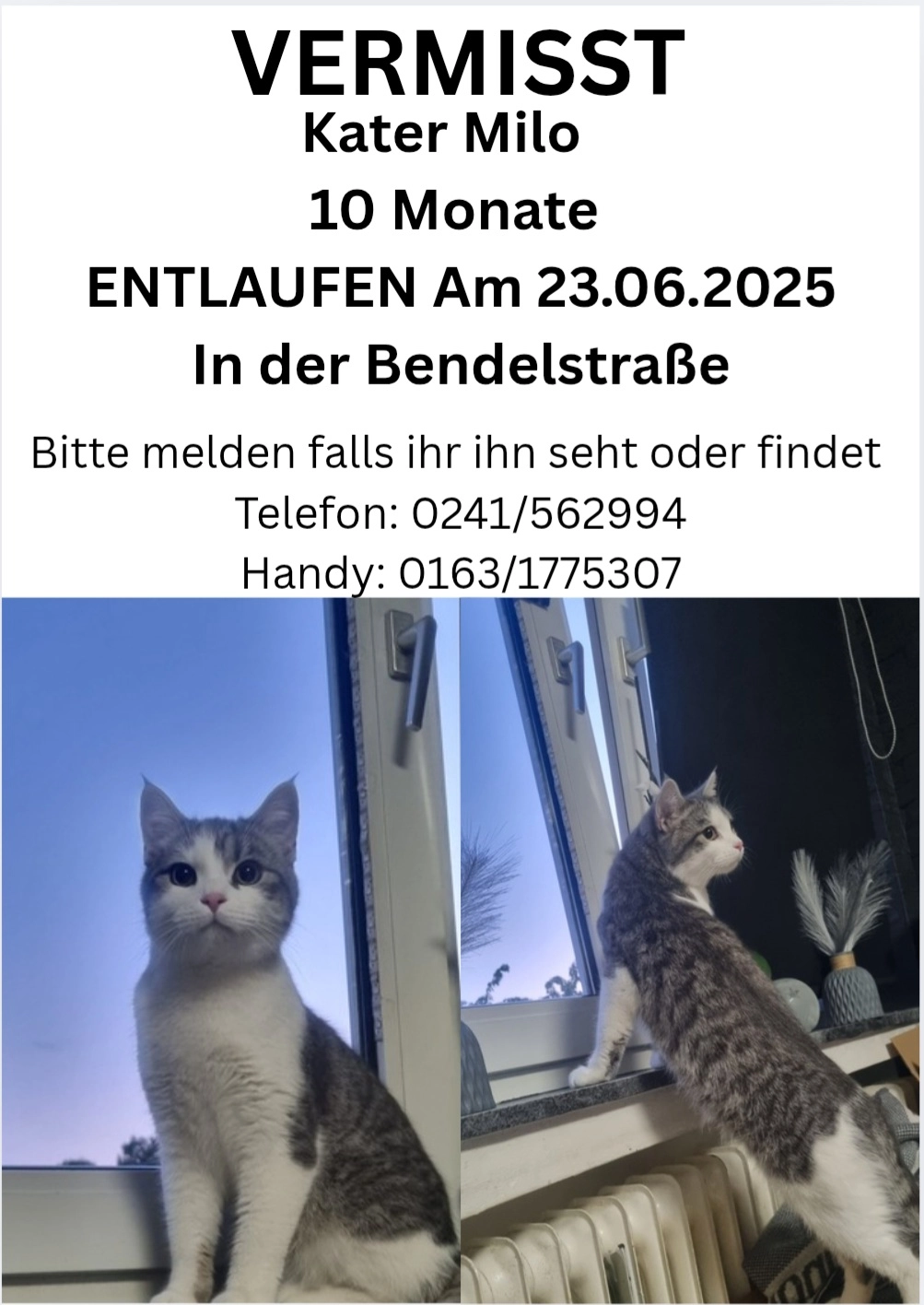 Milo - Bendelstraße, Aachen