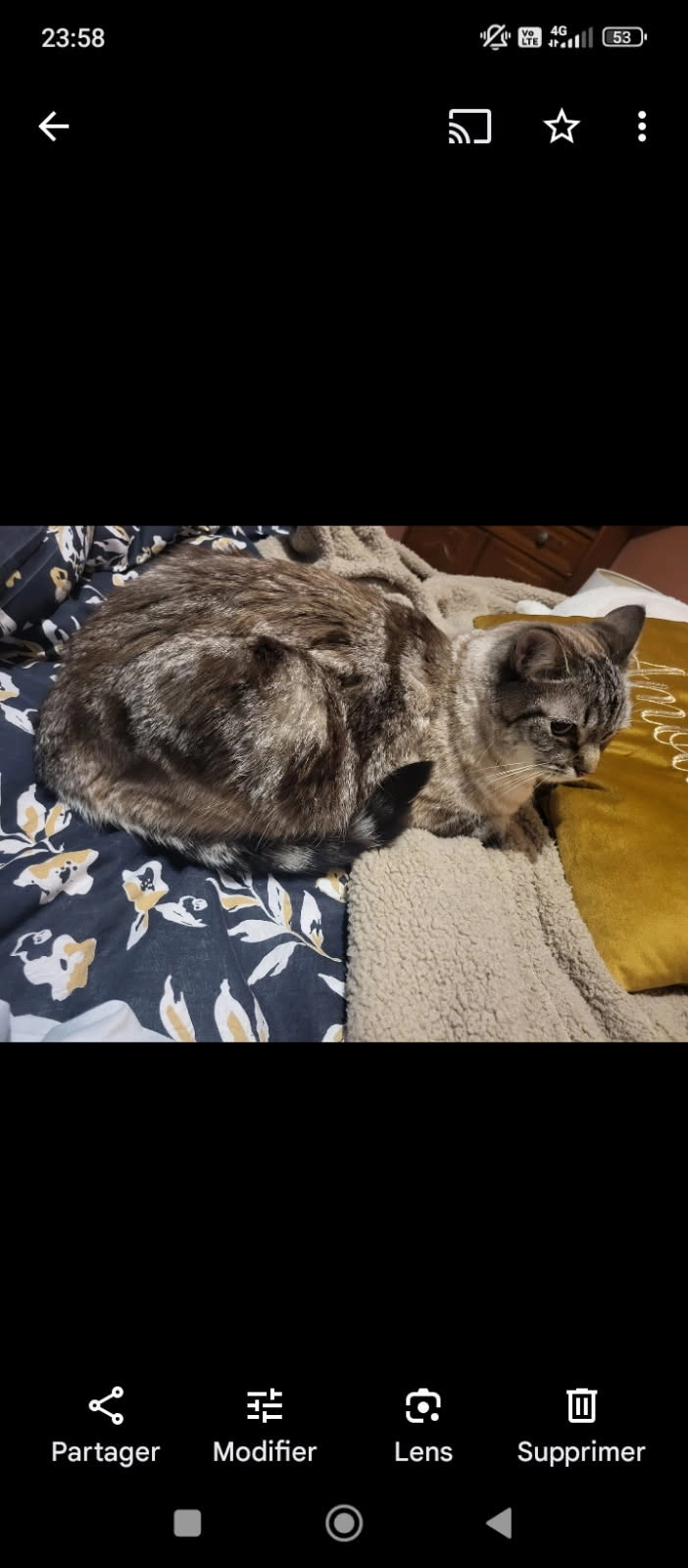 Muscade - Avenue De Belgique, Rachecourt-sur-Marne