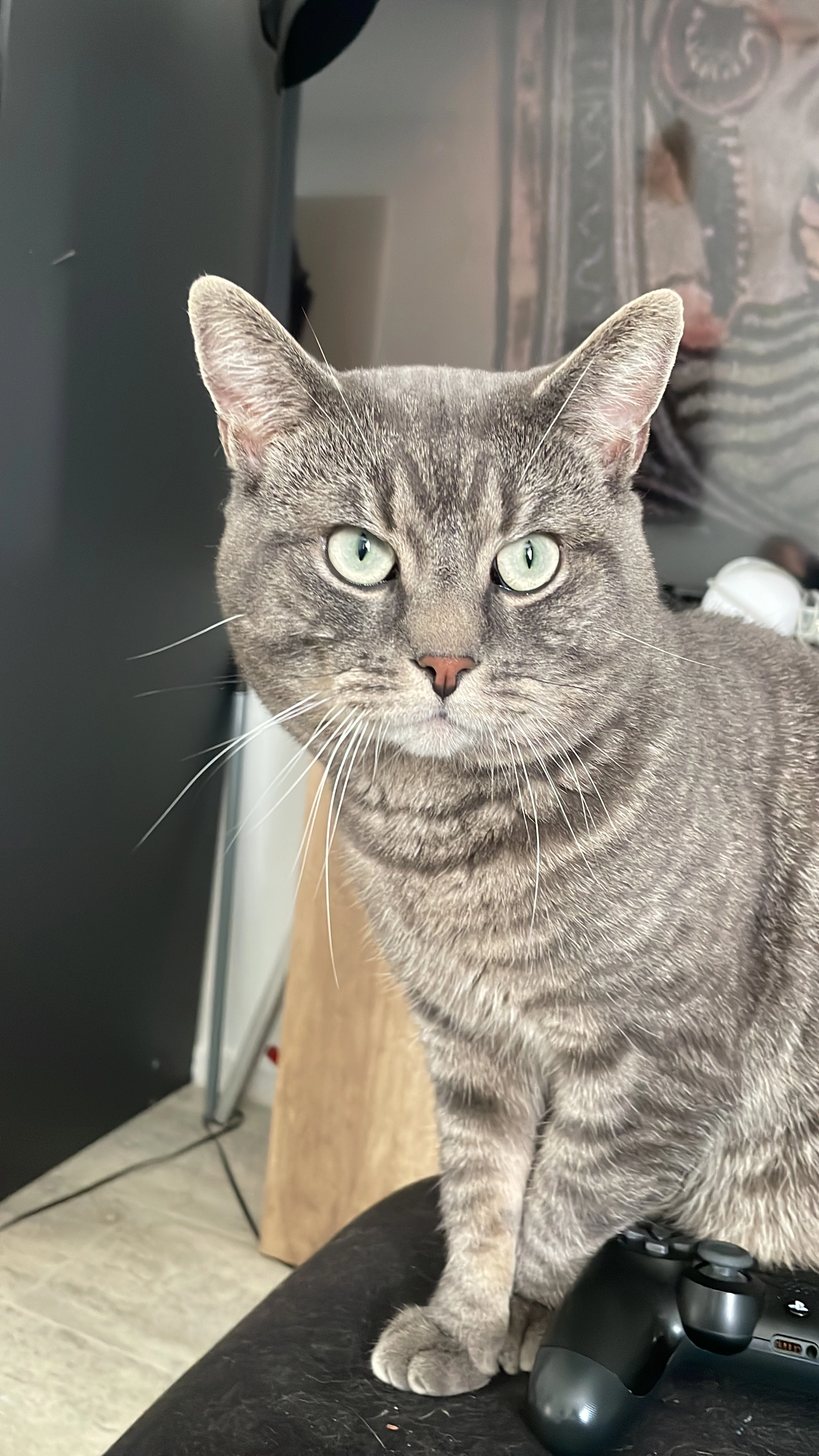 Iknatz - Wernershagener Weg, Neumünster