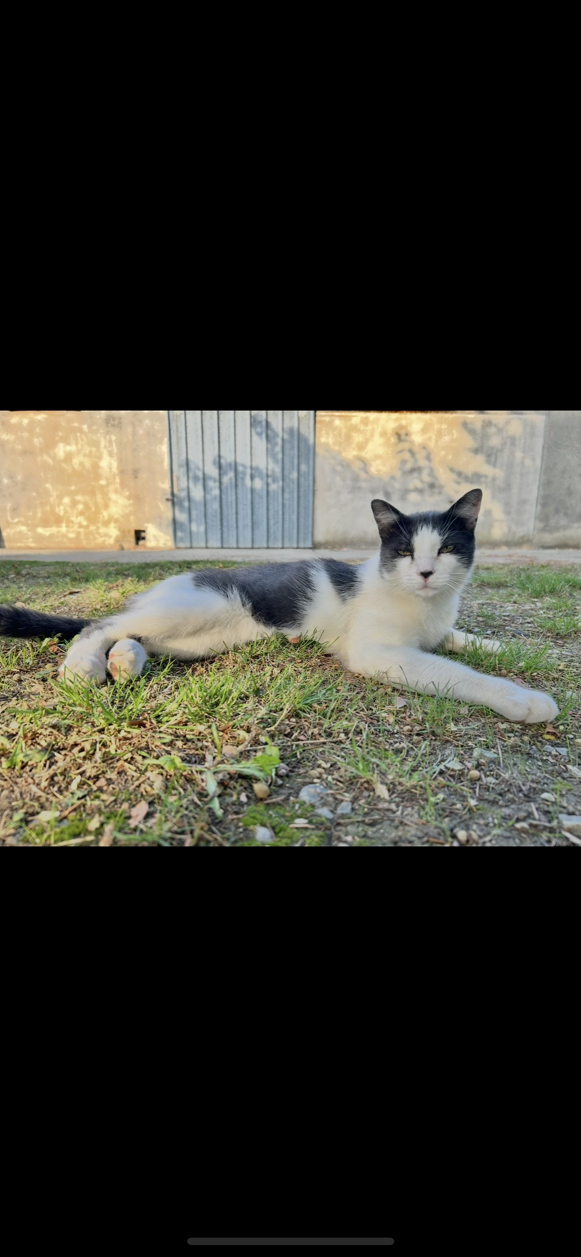 Mimi - 5 Chemin d'Encaulet, Castelnau-d'Estrétefonds