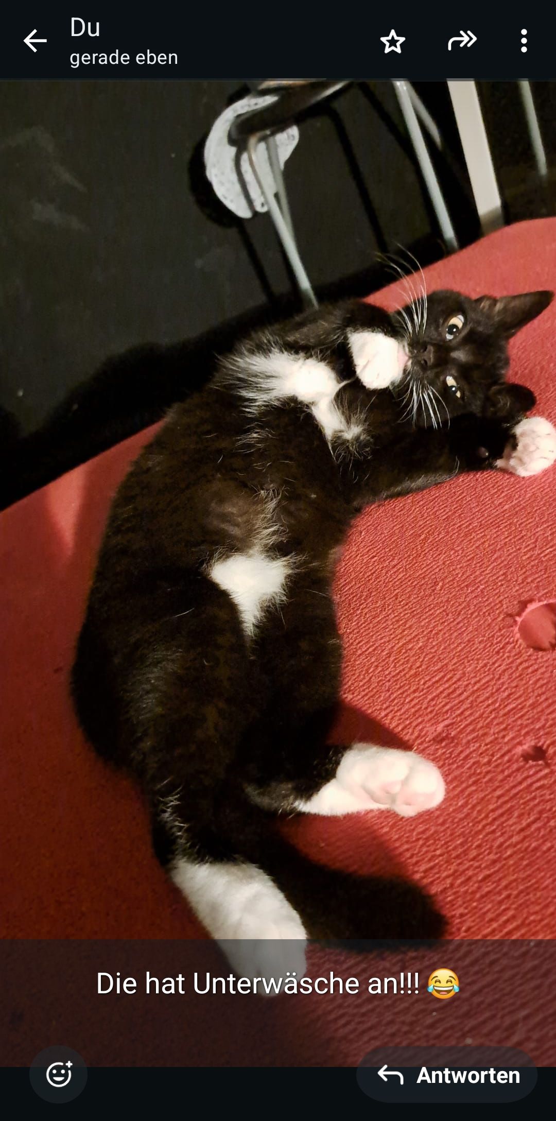 Licci - Am Karlschacht, Ibbenbüren