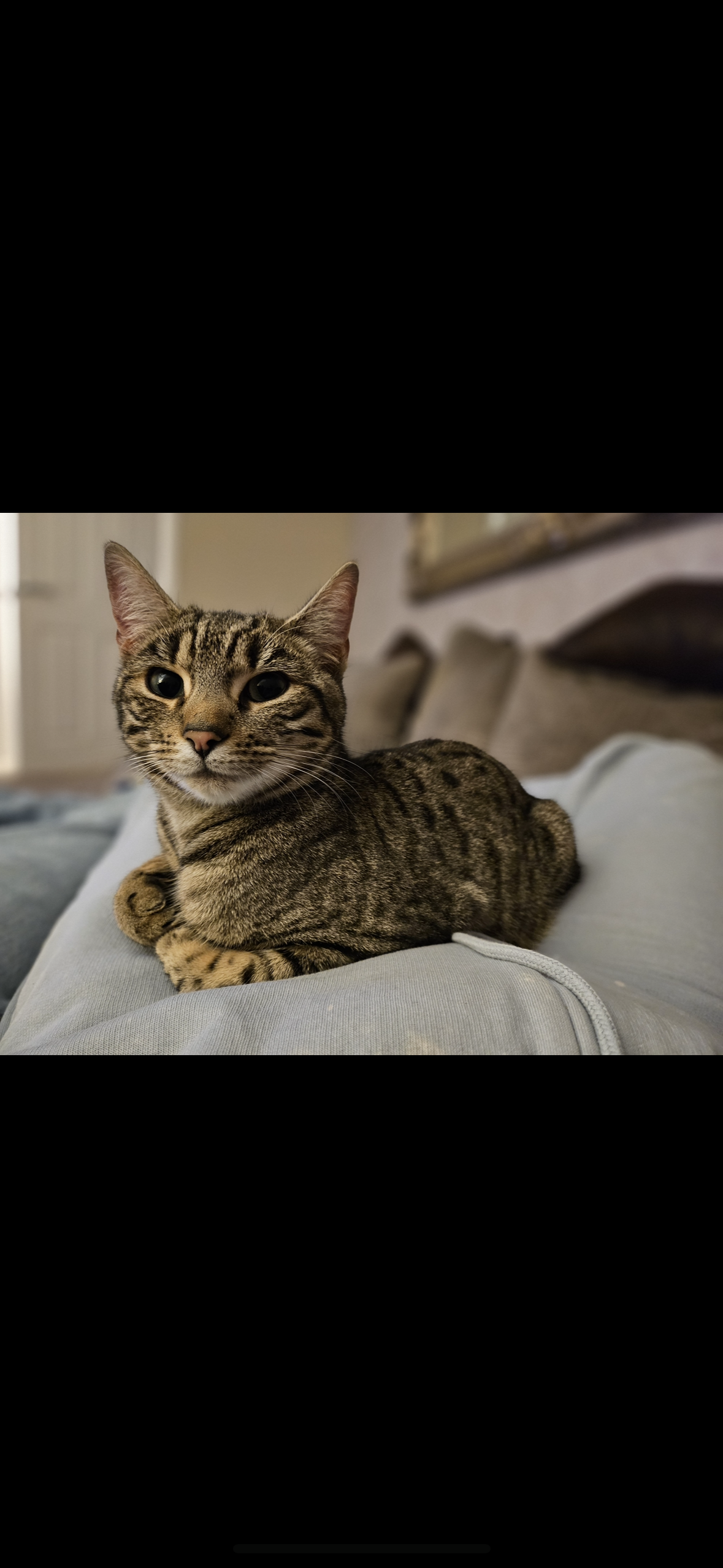 Lucy - 2 Primrosehill Road, Cults