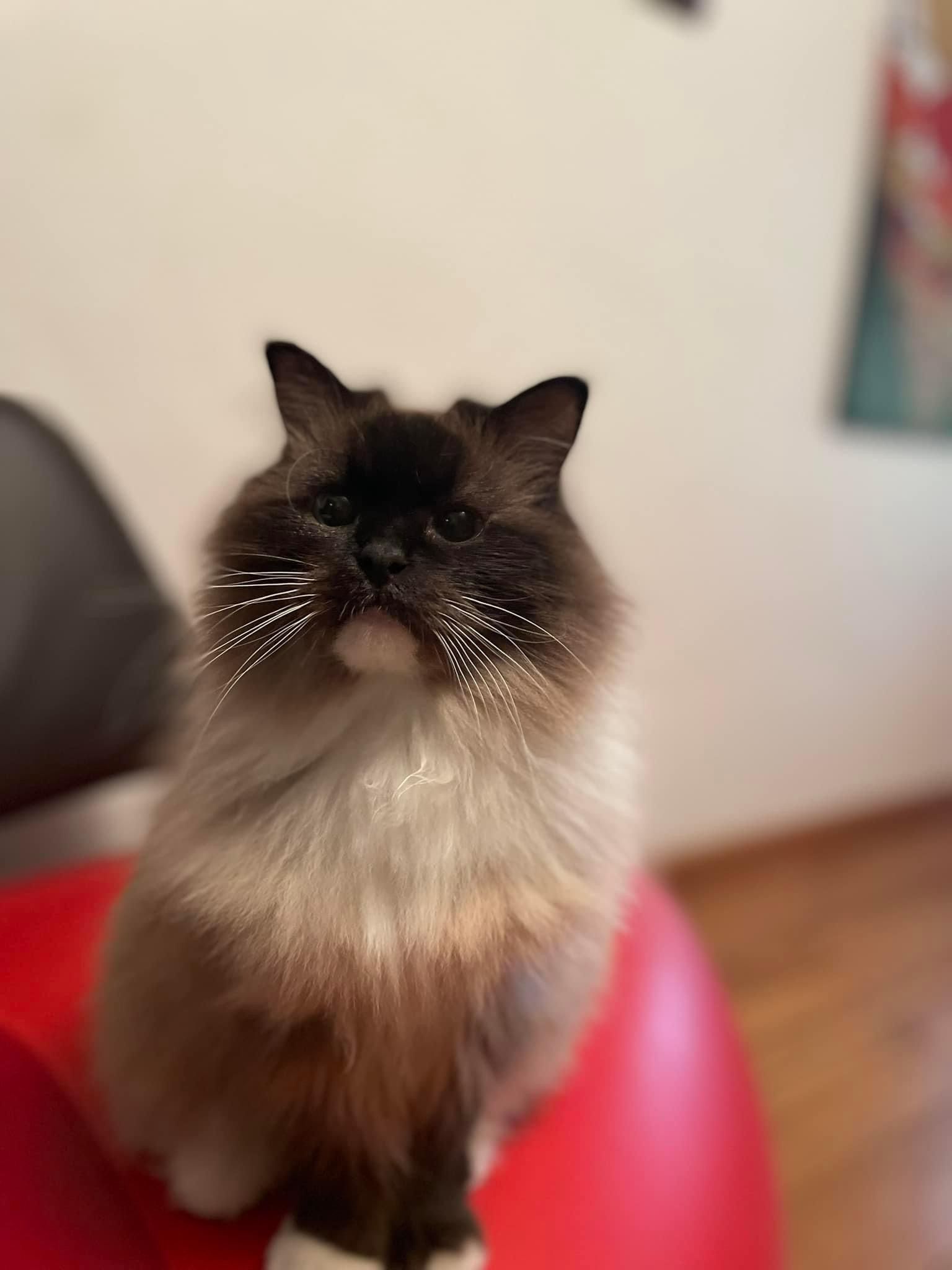 Lilly - Veldhauser Straße, Nordhorn