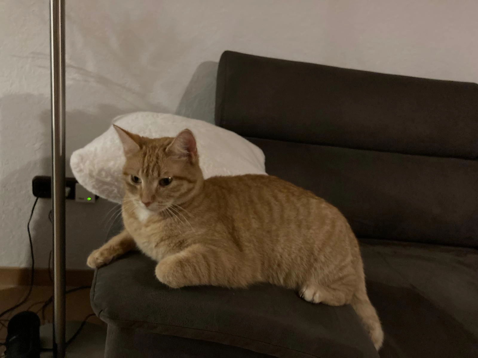 Bella - Meiermoorweg, Bremen