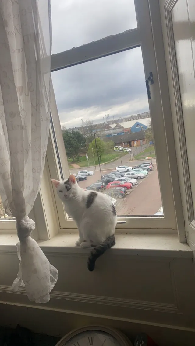 Casper - McLean Street, Dundee