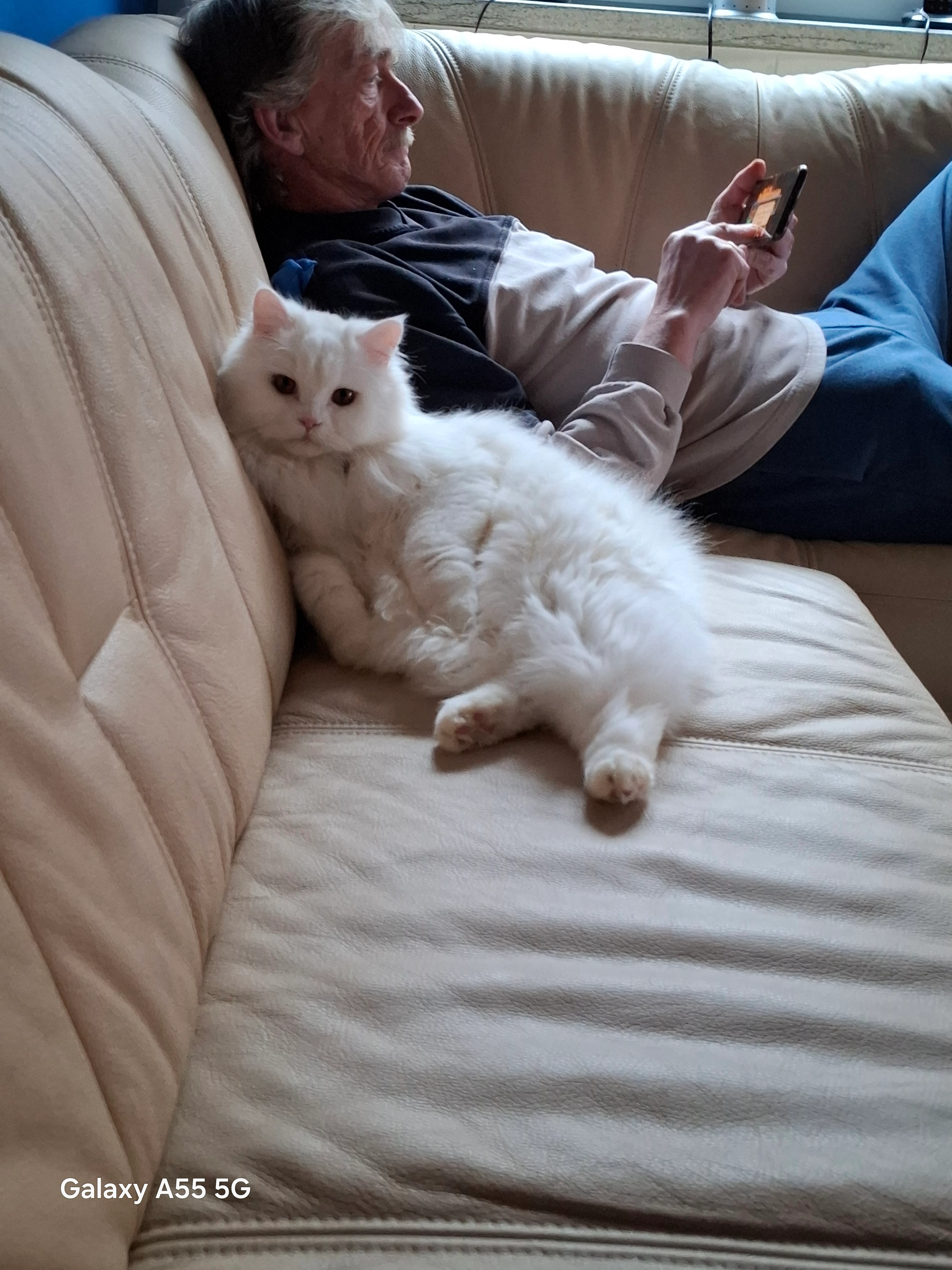 Simba - Theodor-Heuss-Straße. 2, Egelsbach