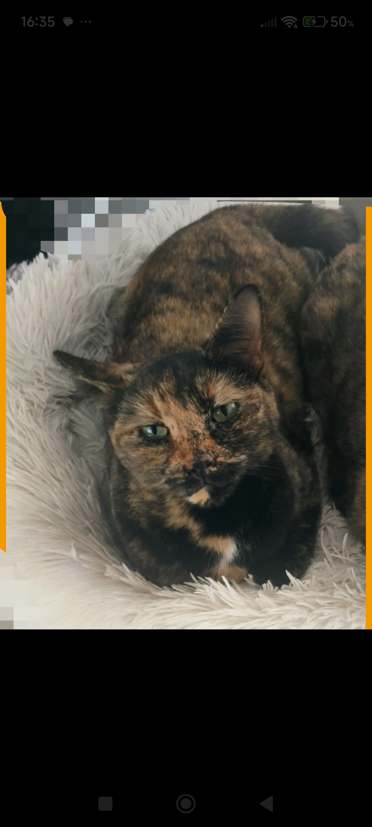 Chloé  - Zona Nueva Atalaya, Estepona