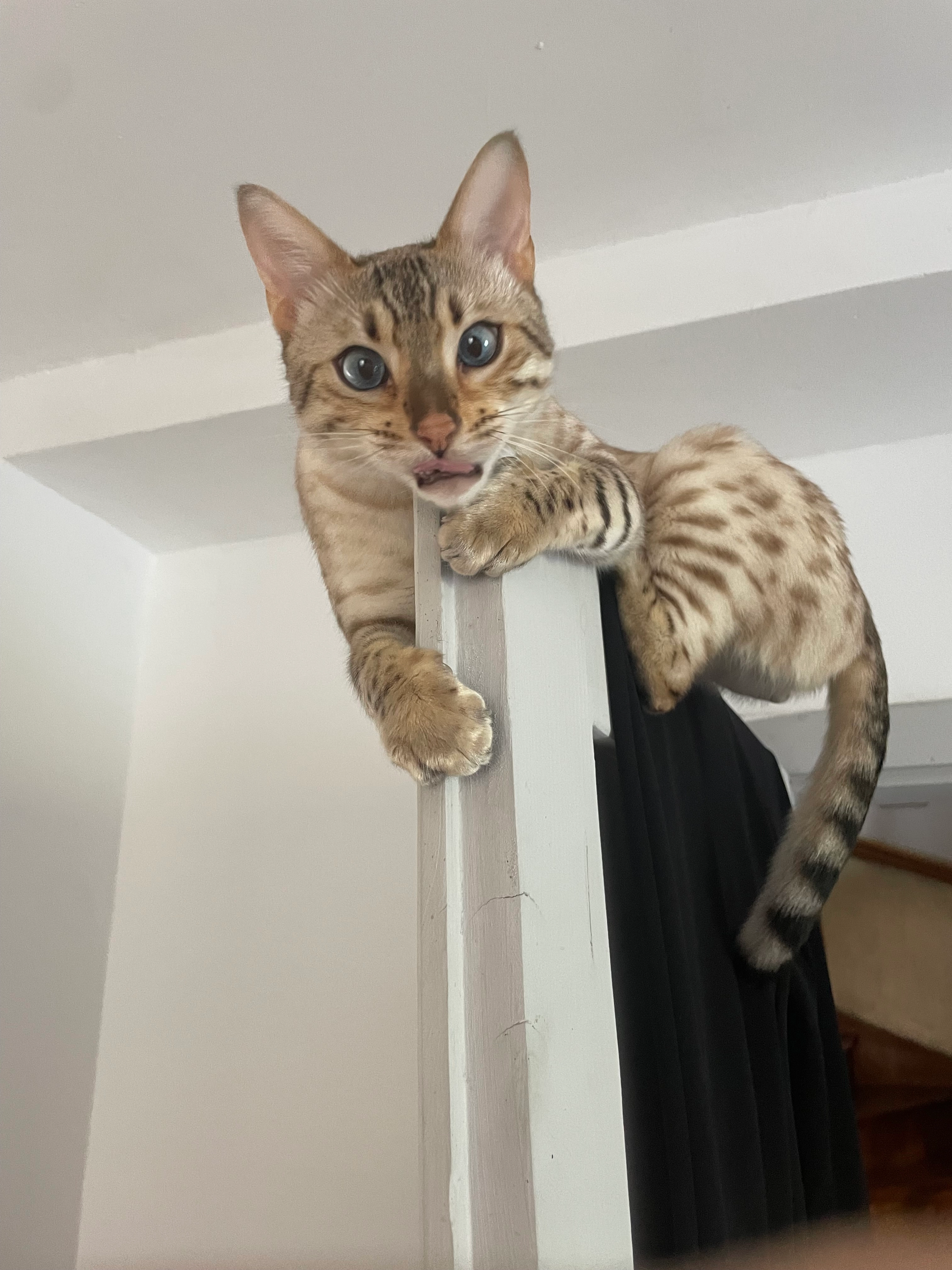 Luzifer - Eichengasse 8, Sierning