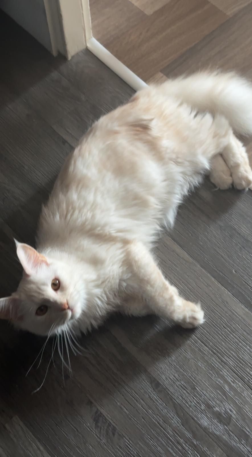 Sina - Im Lehenbusch, Crailsheim