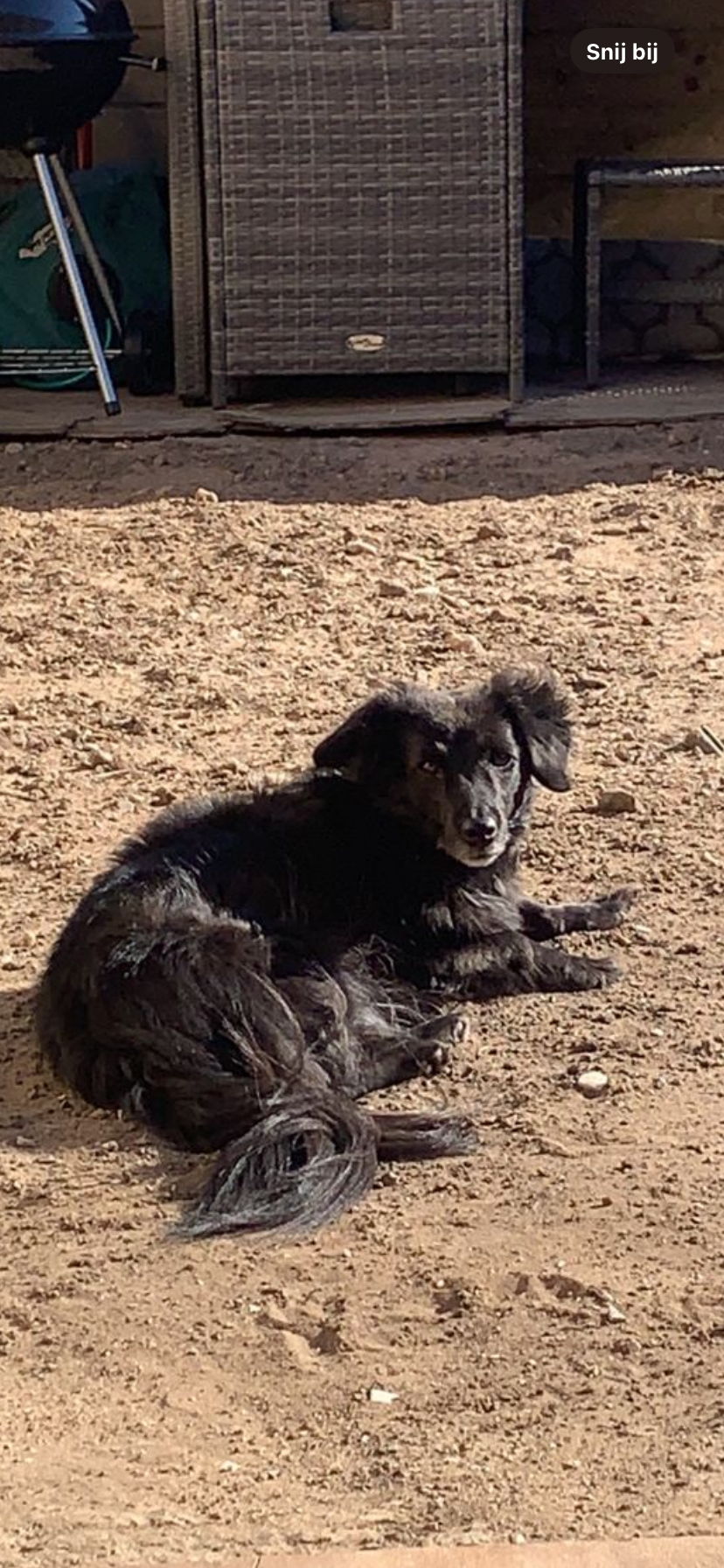  Blackie - Kerkweg, Ede