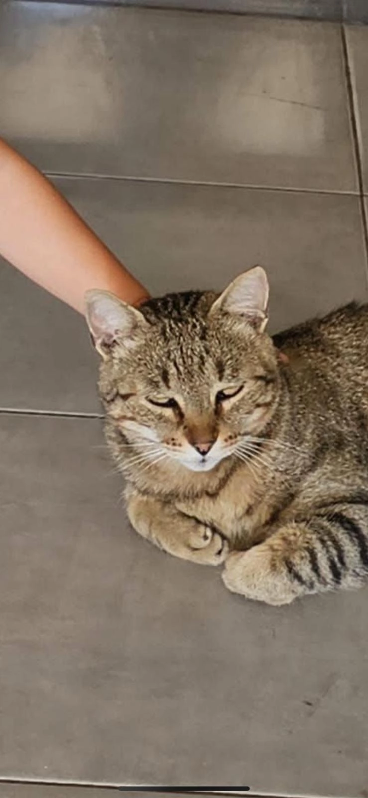 Samba - 368 Chemin du Serrier, La Turbie