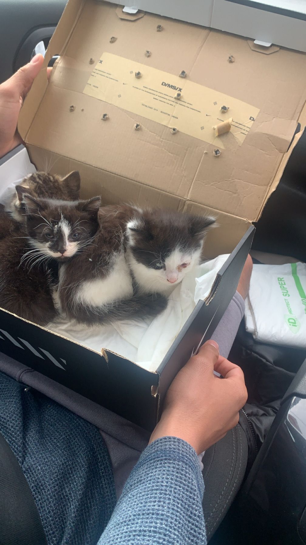 Eugene - Drogheda Road, Dunleer