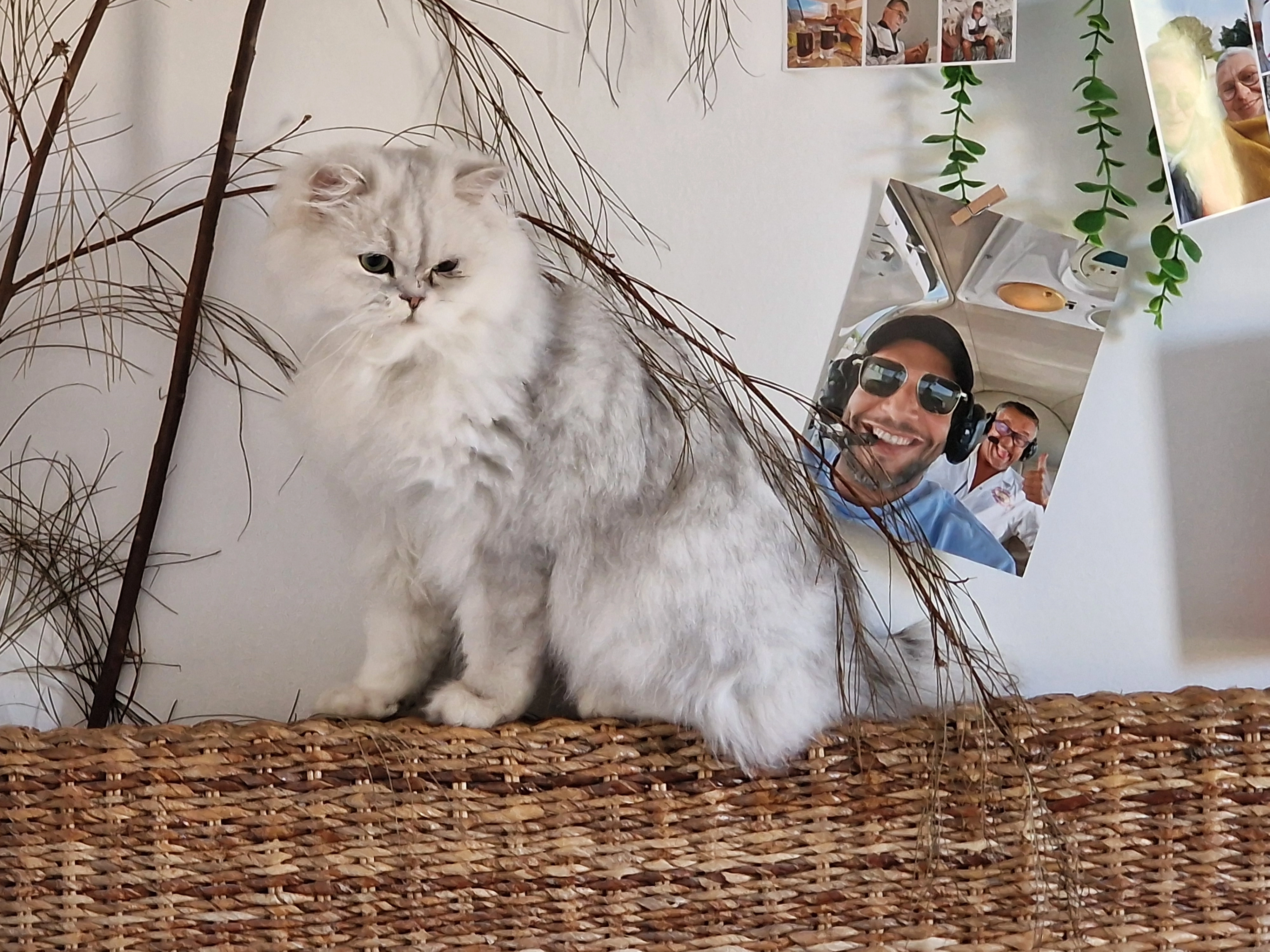 Bilou - 1625 Chemin Traversier du Plan, Hyères