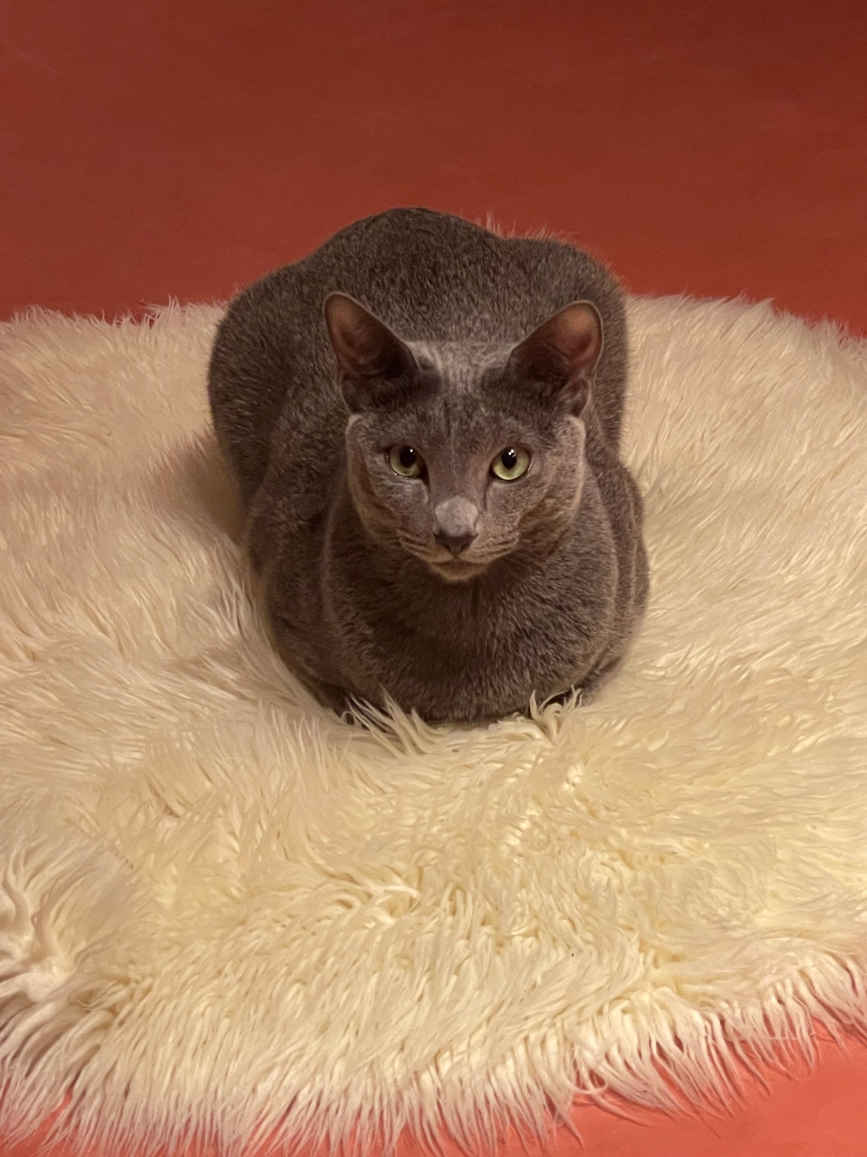 Jazz - Helmbach, Elmstein