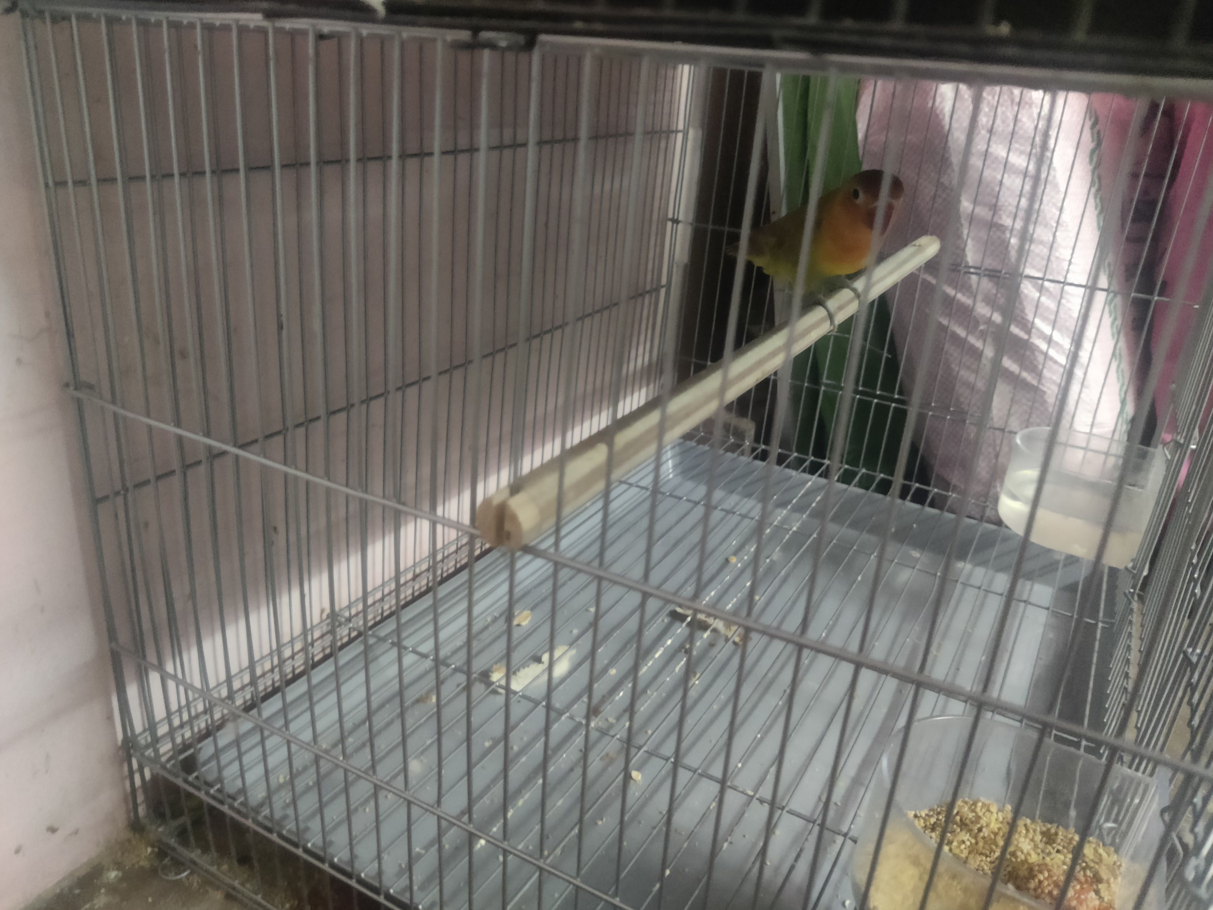 Pattu - Sakthi Main Road, Coimbatore