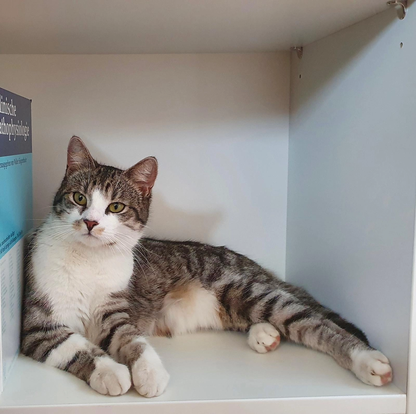 Mina - Dommelstraße, Münster