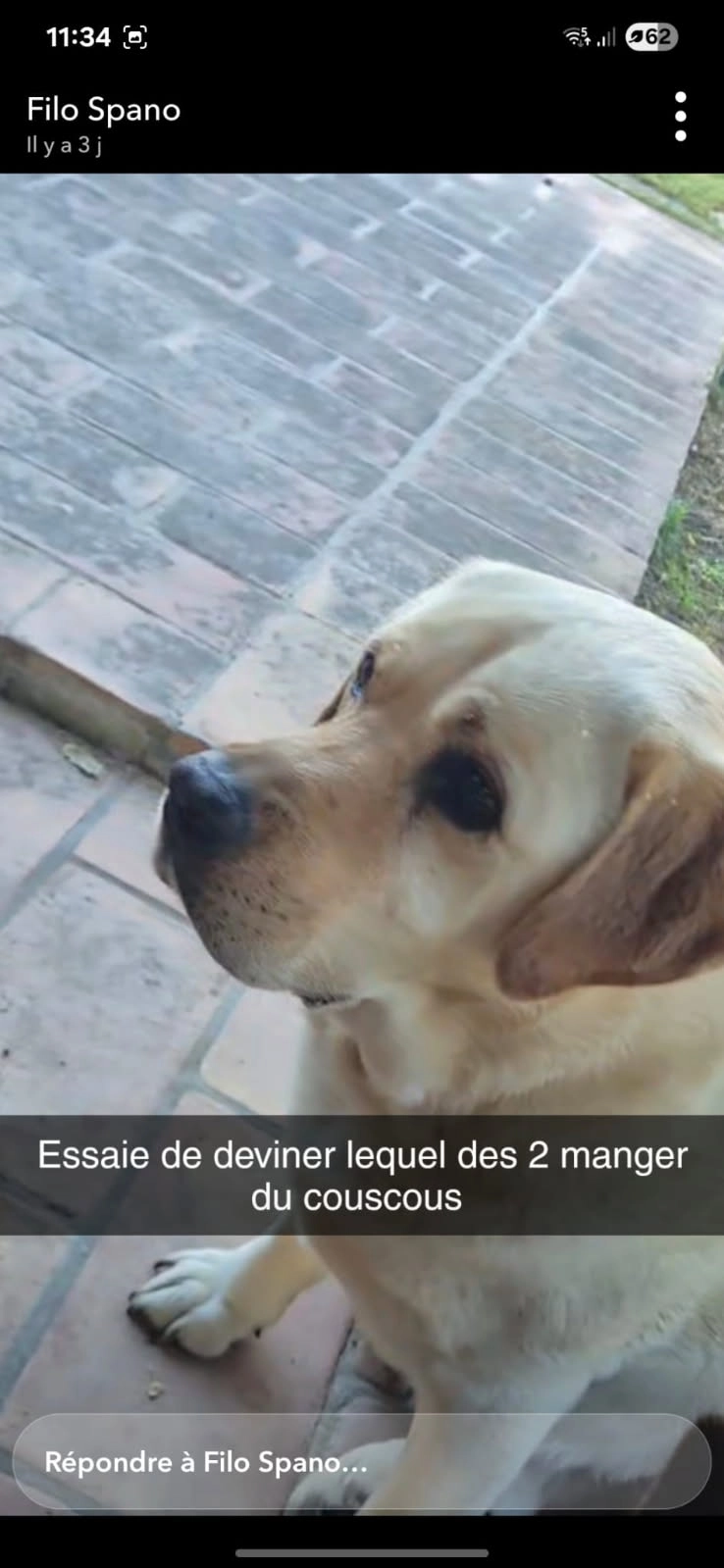 Nougat  - Chemin des Picholines, Châteauneuf-Grasse